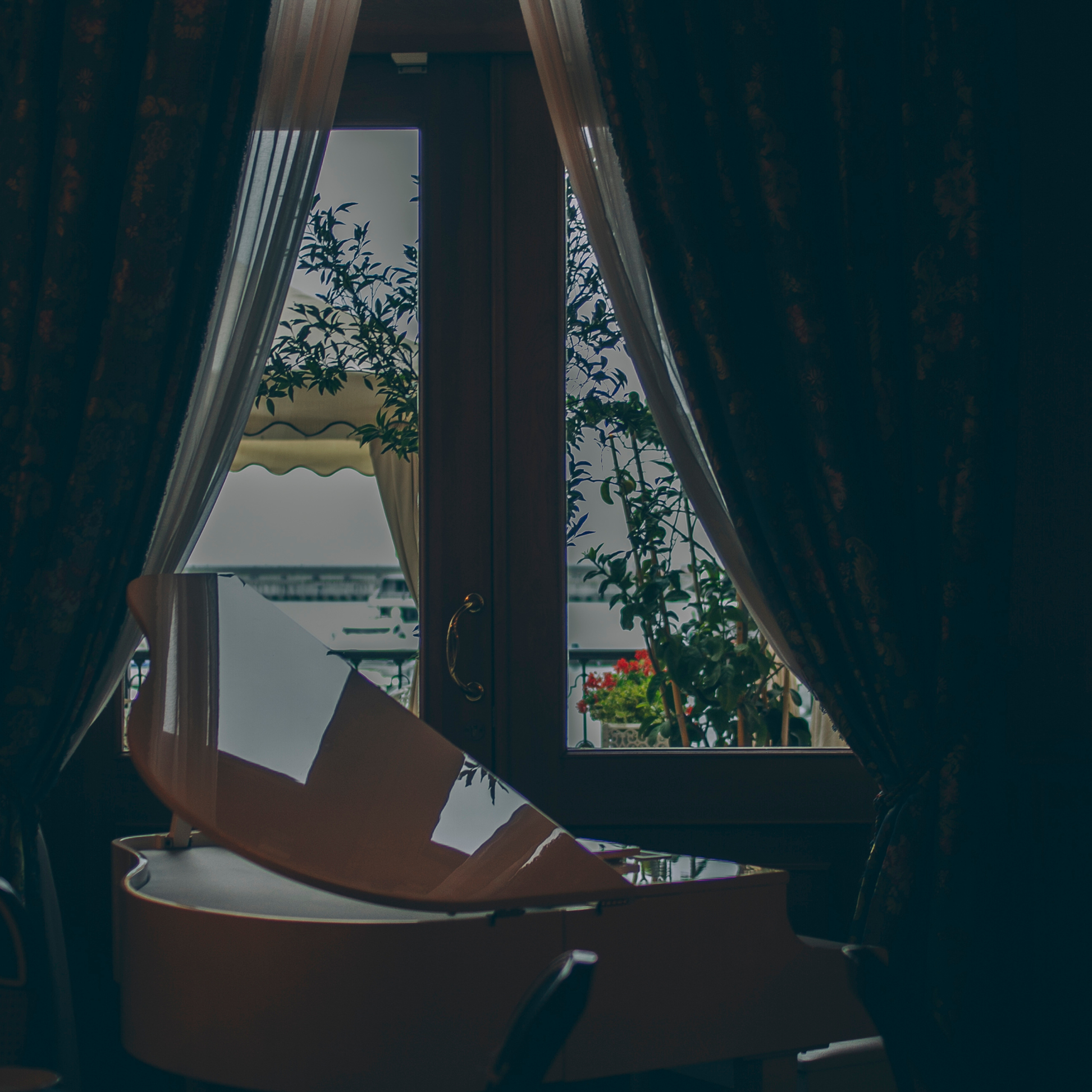 Сочи (декабрь 2017)