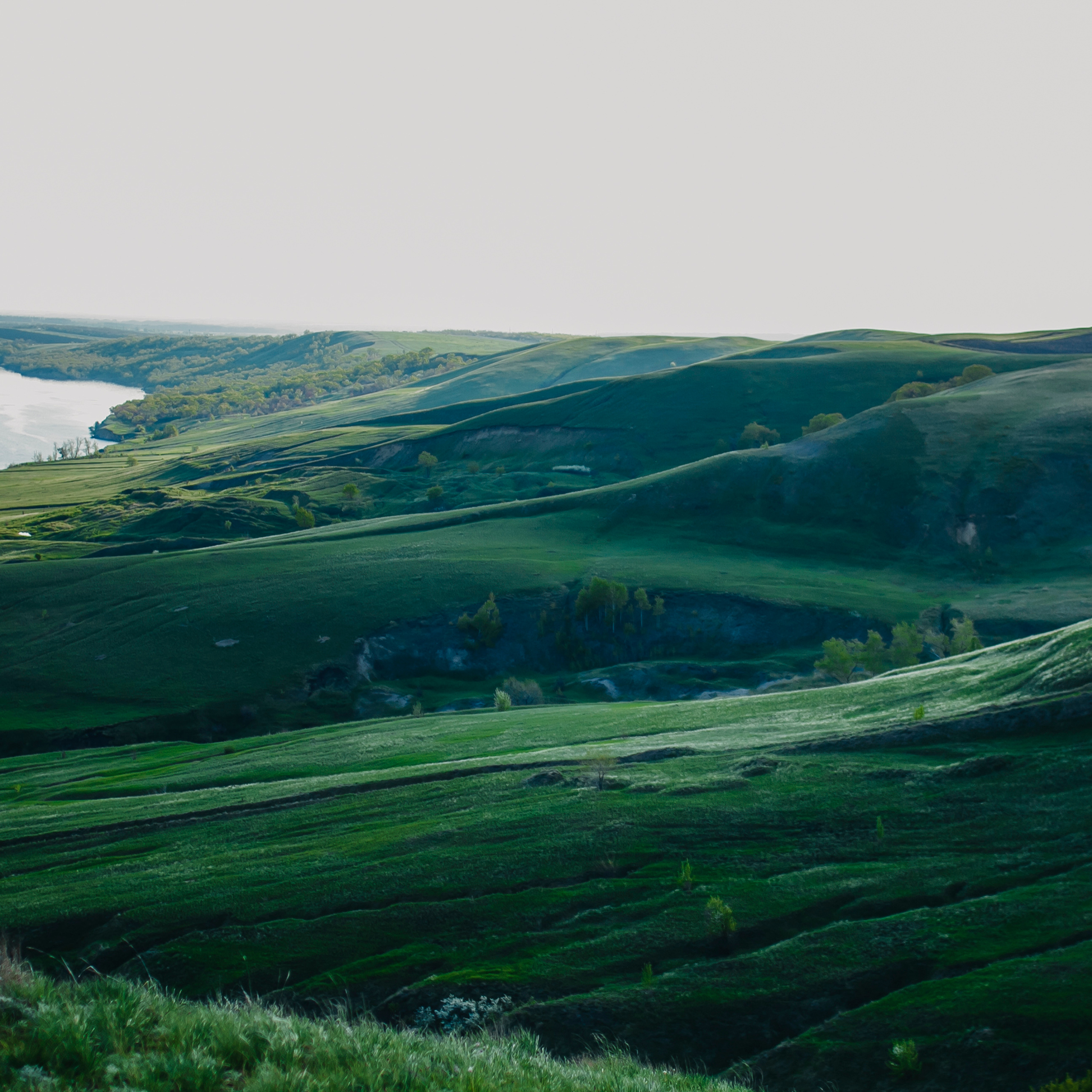 Гора Меровка (июль 2019)