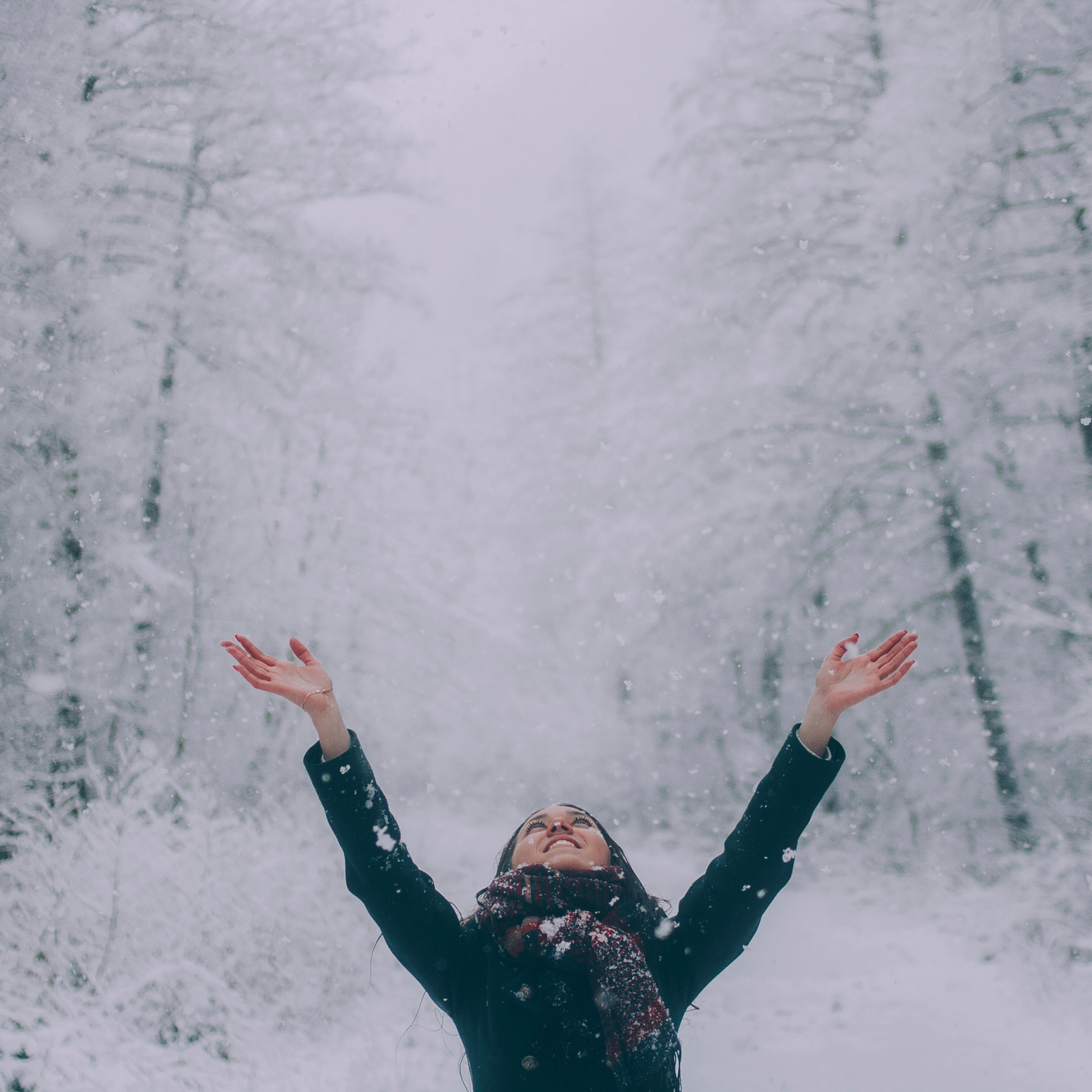 Сочи (декабрь 2017)