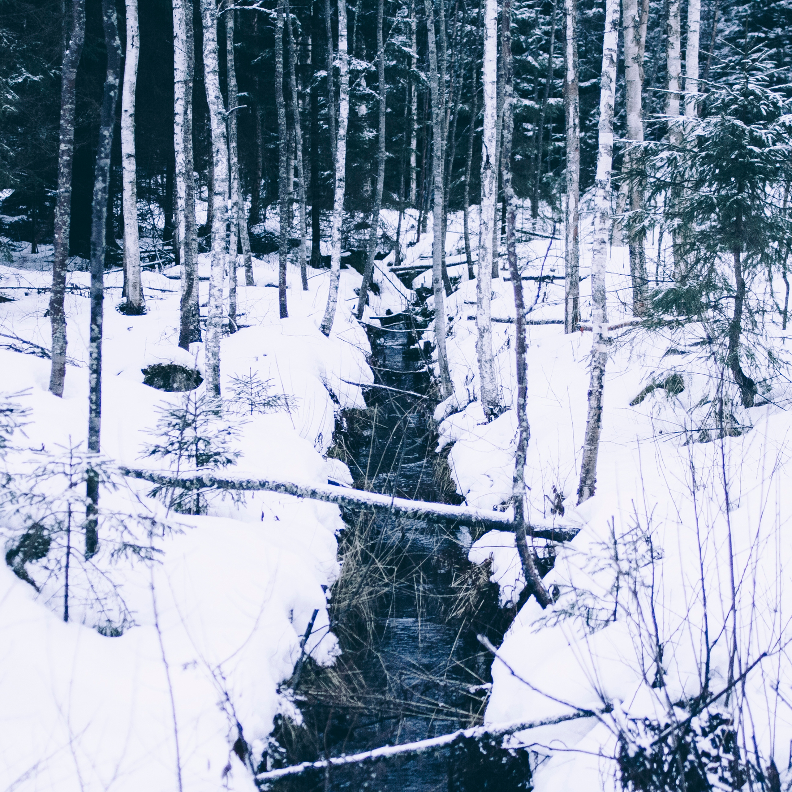 Финляндия (Новый год 2018)