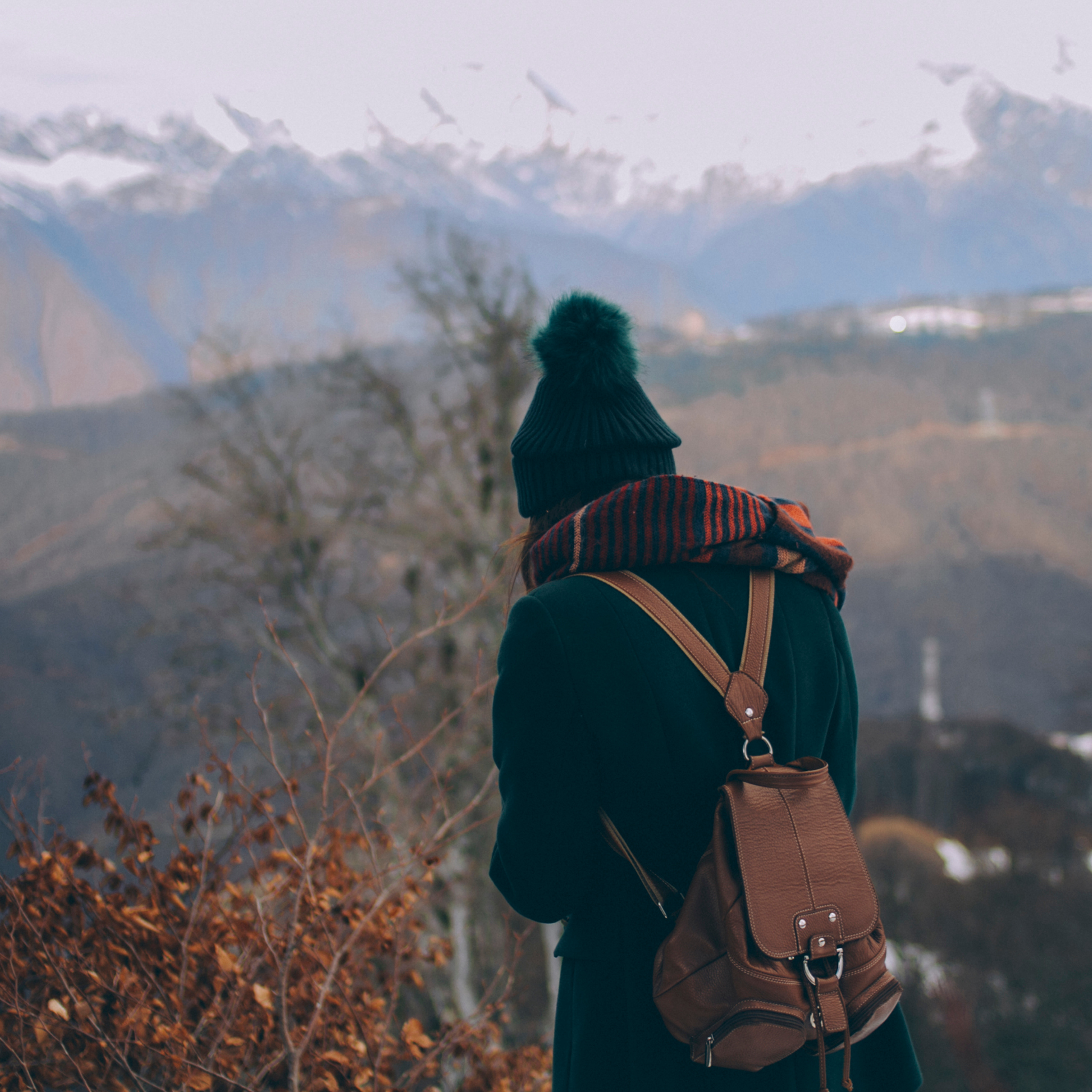 Сочи (декабрь 2017)