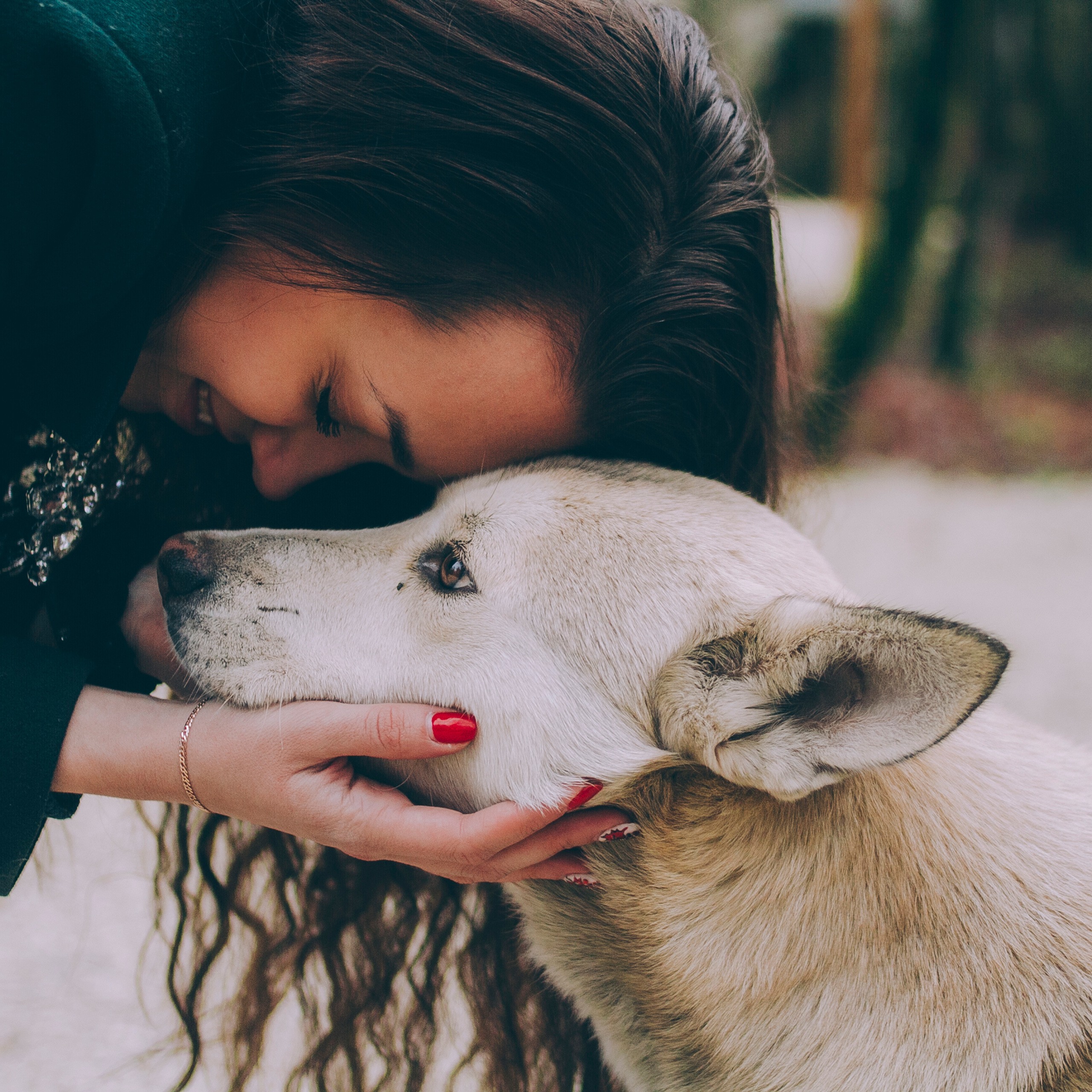 Сочи (декабрь 2017)