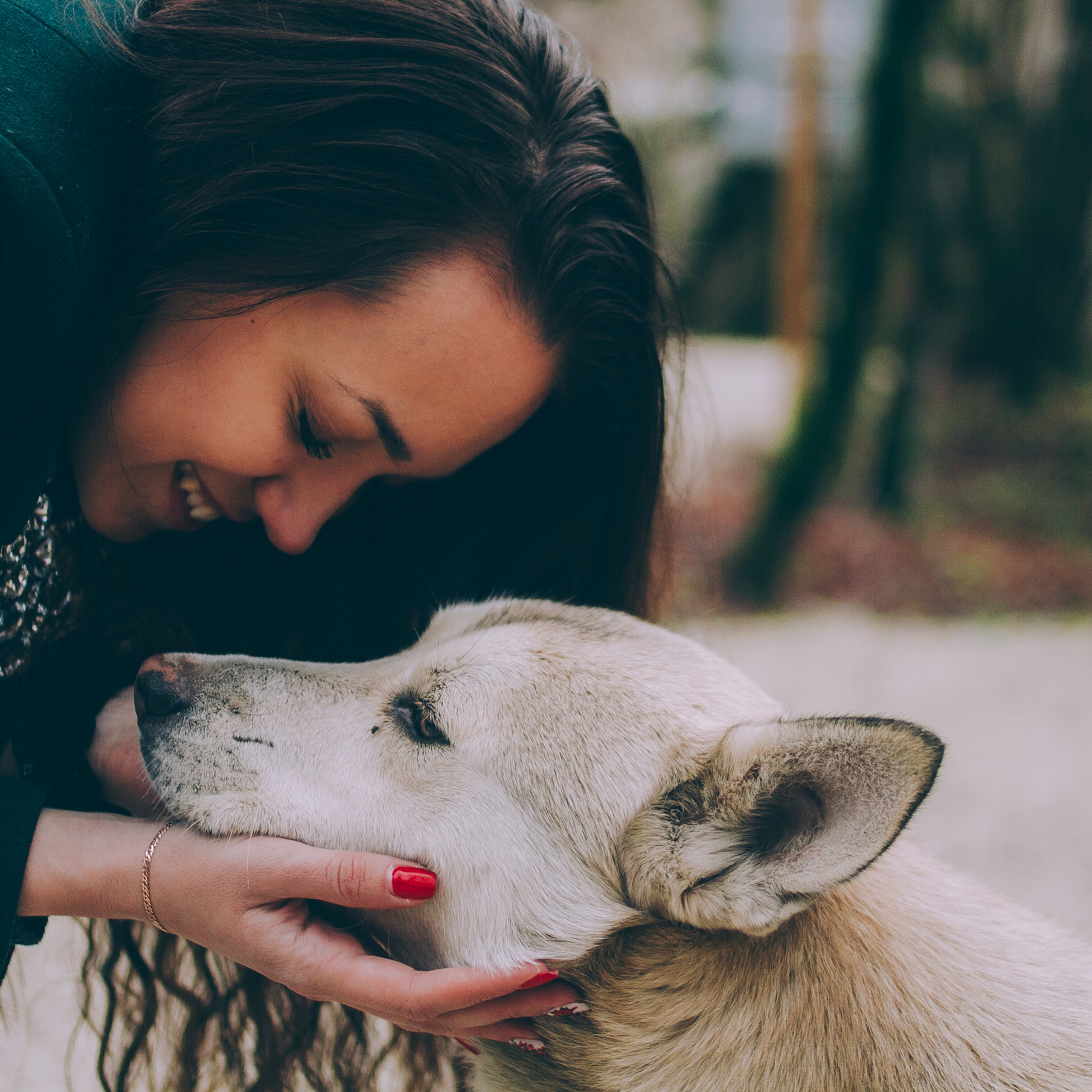 Сочи (декабрь 2017)