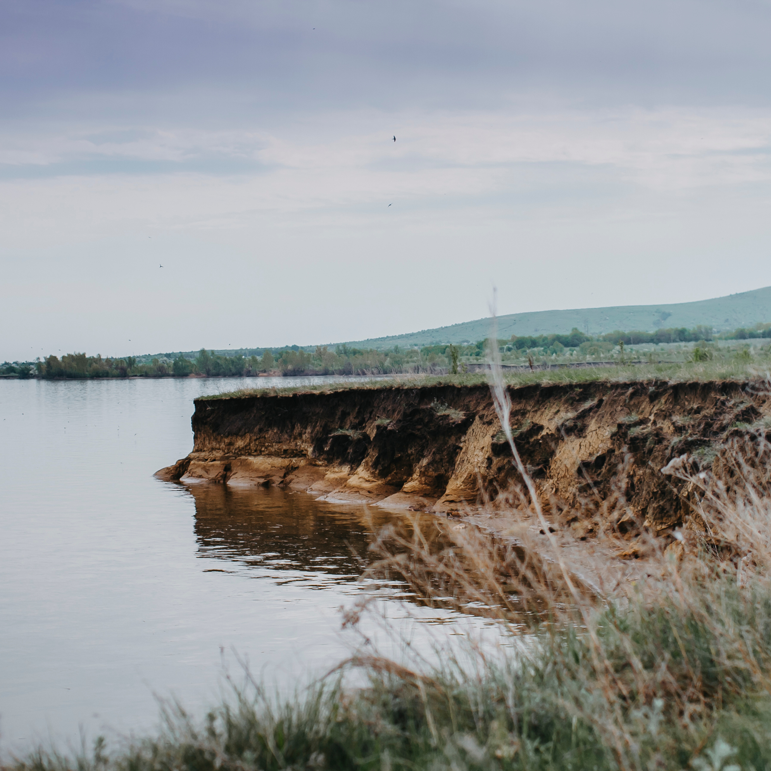 Хвалынские яблоневые сады (май 2019)