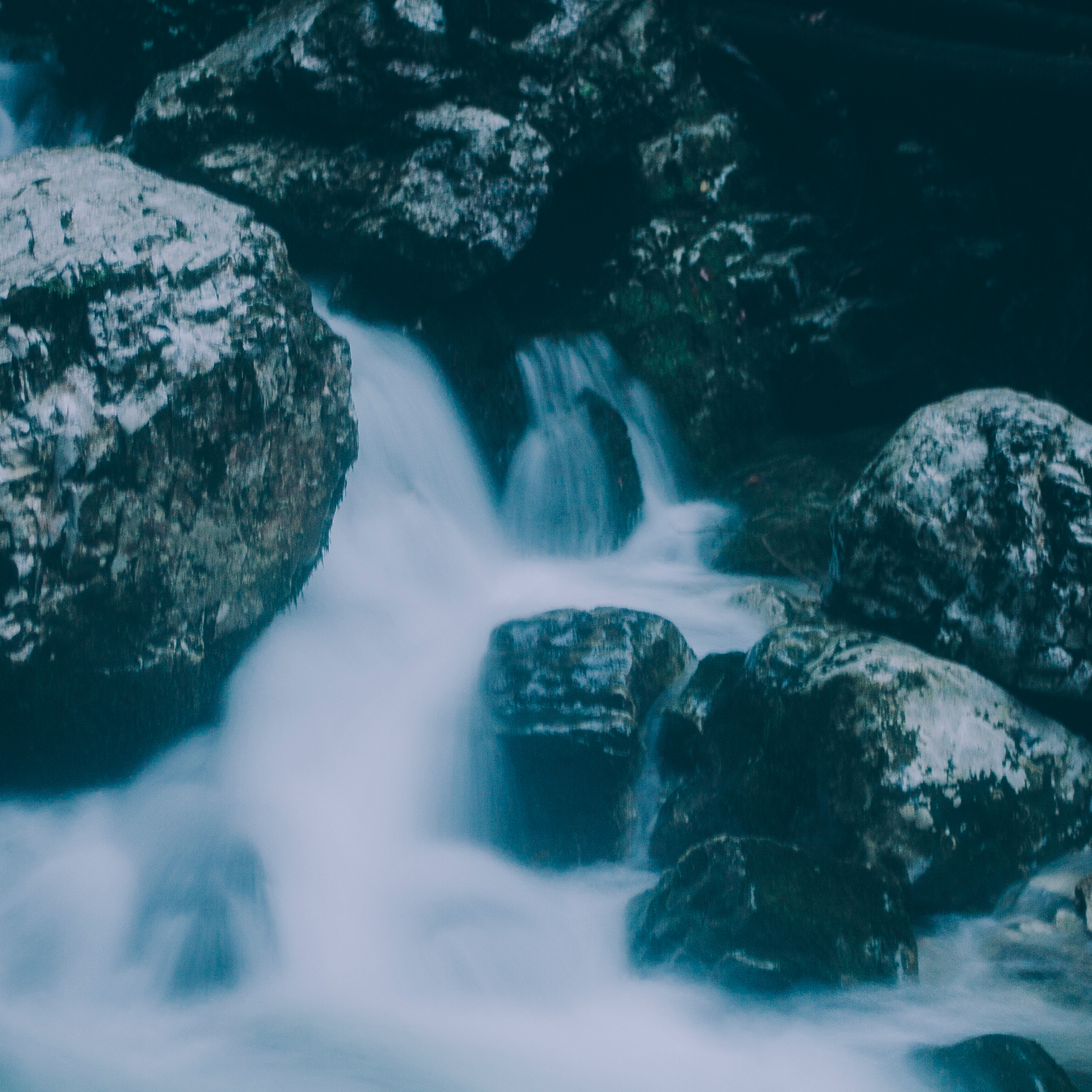 Сочи (декабрь 2017)