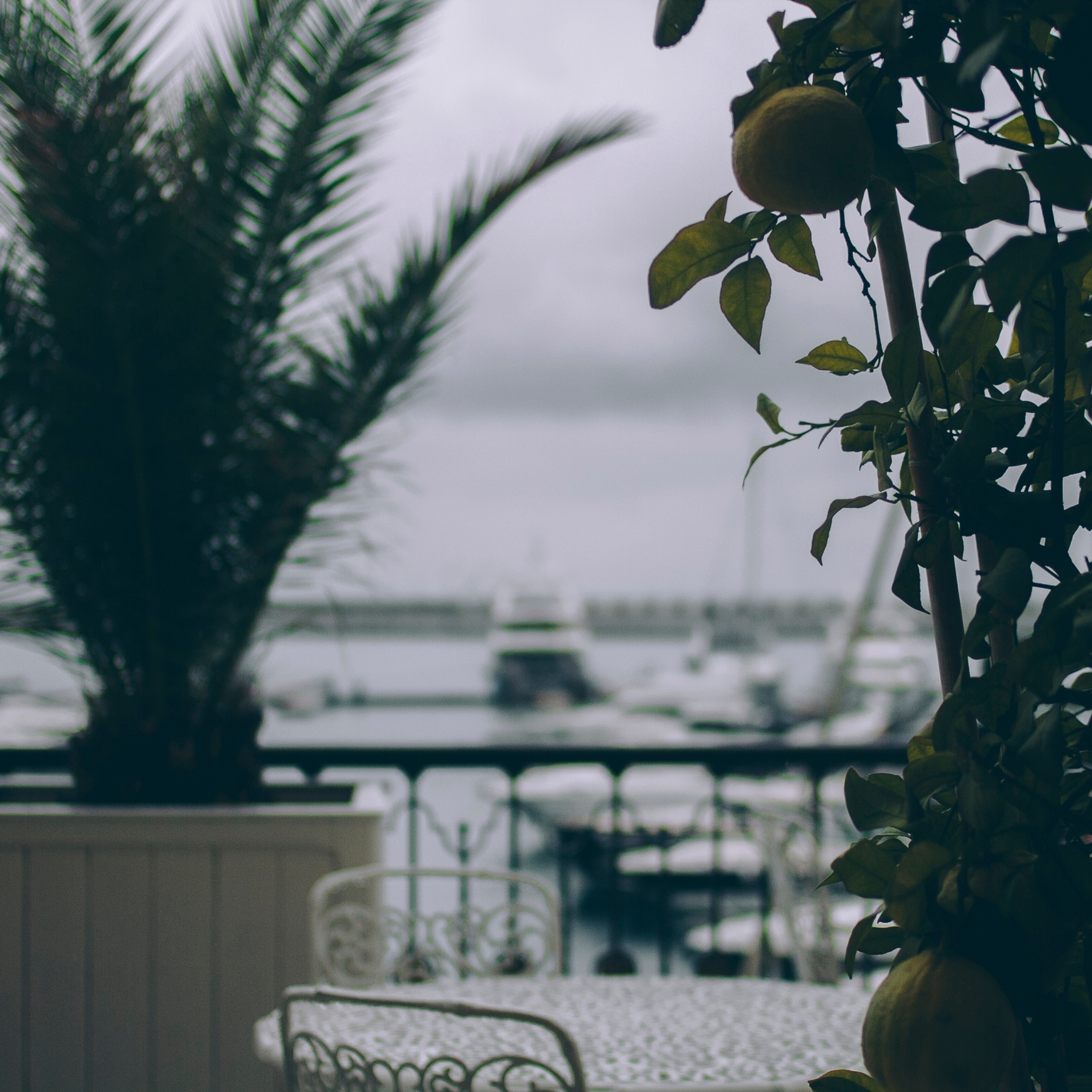 Сочи (декабрь 2017)