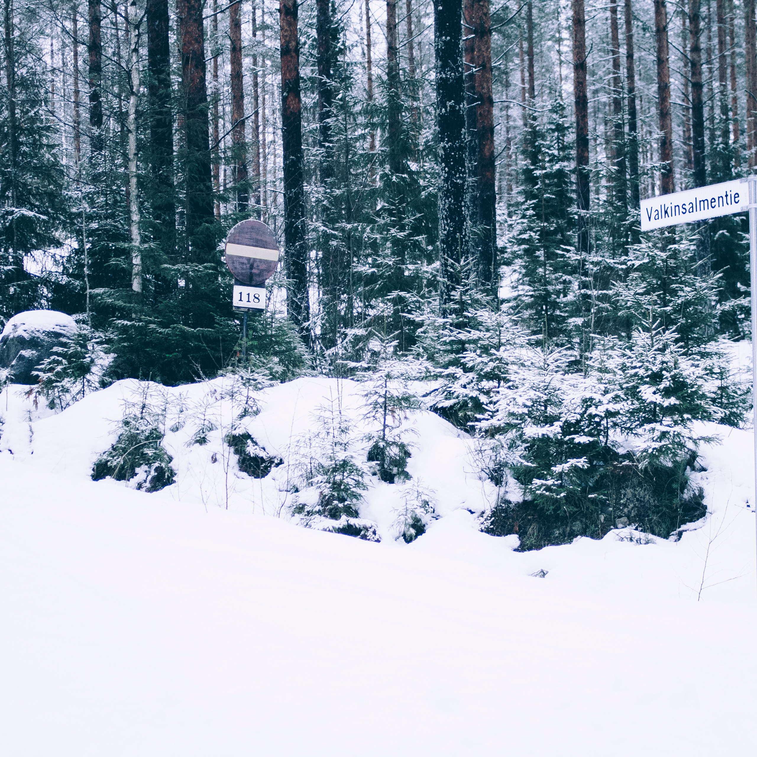 Финляндия (Новый год 2018)