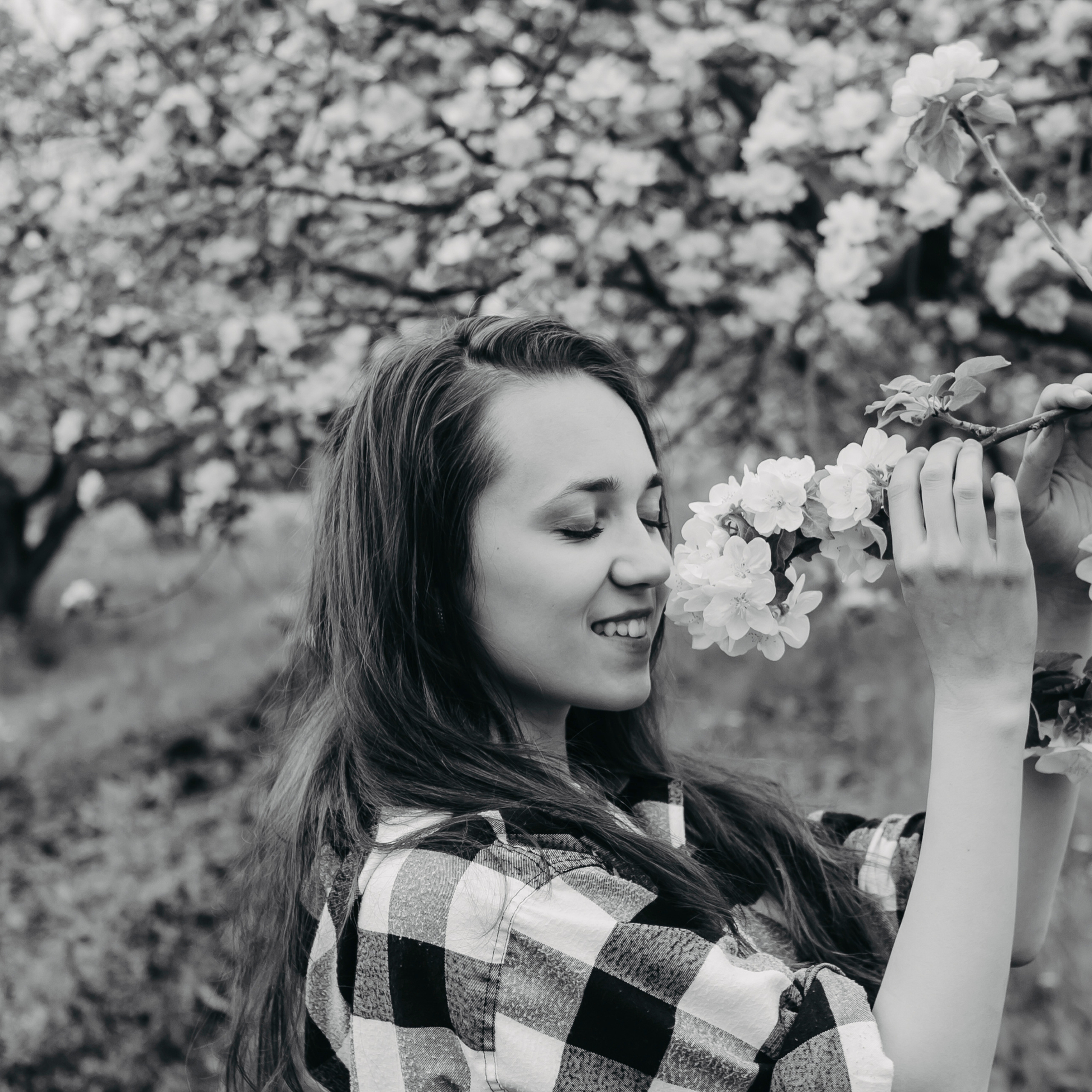 Хвалынские яблоневые сады (май 2019)