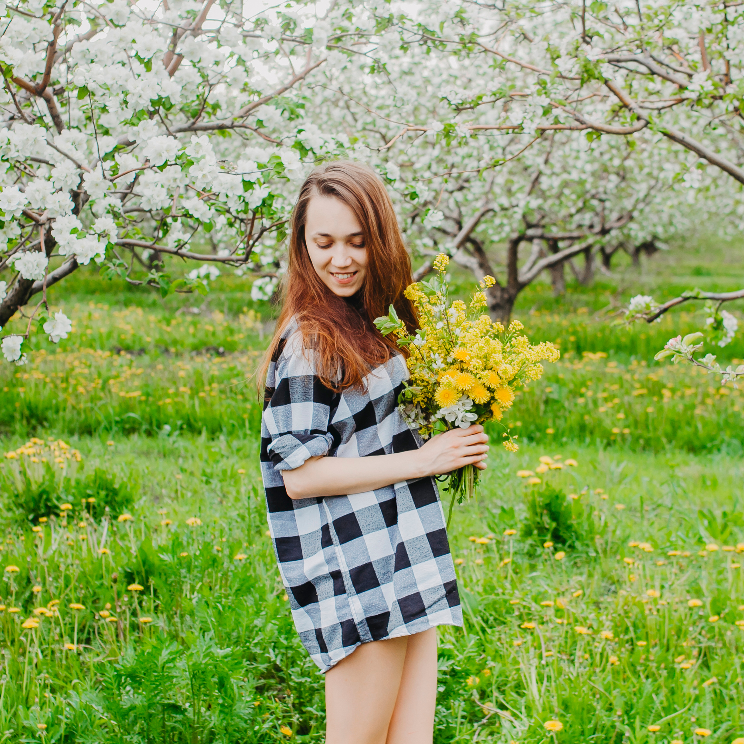 Хвалынские яблоневые сады (май 2019)