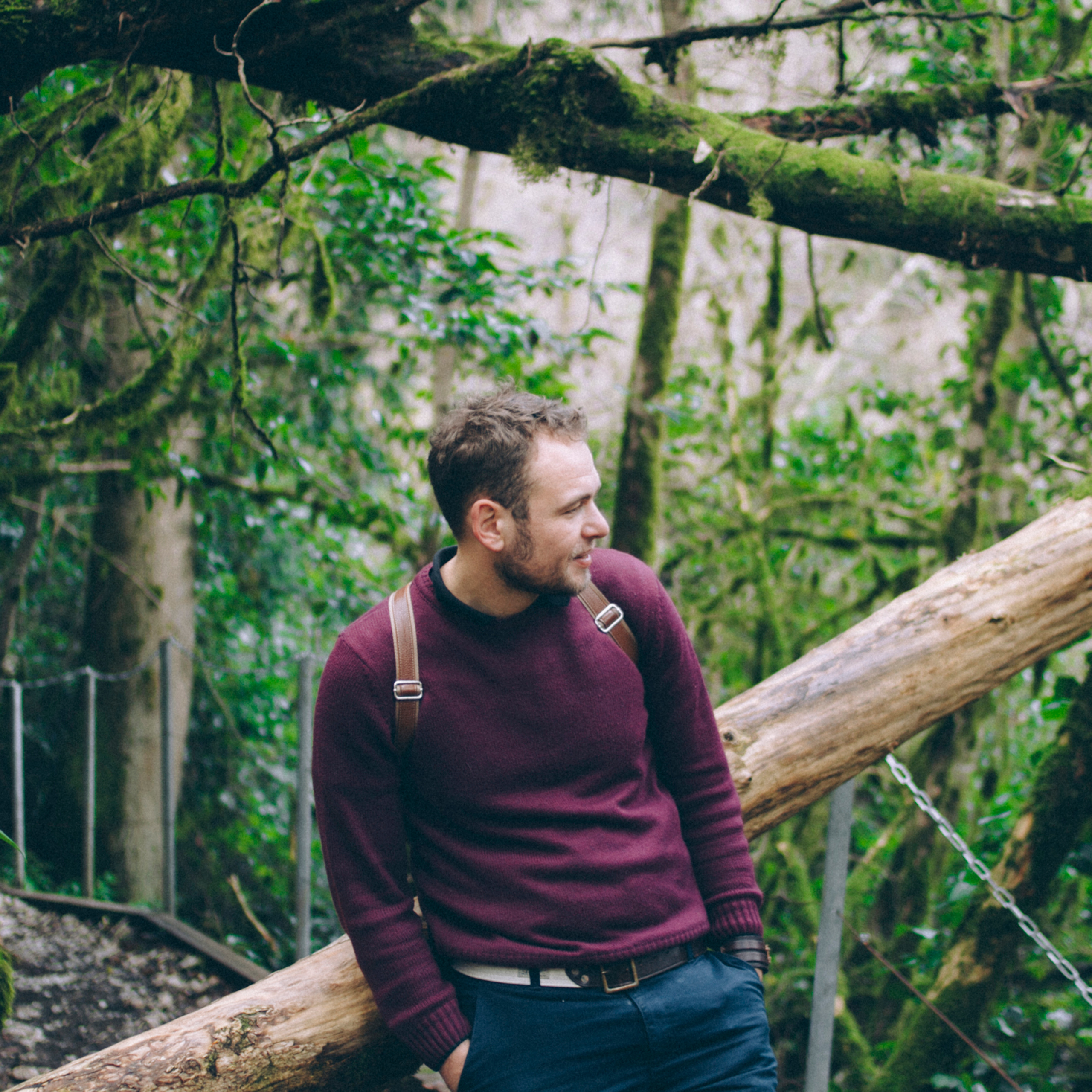 Сочи (декабрь 2017)