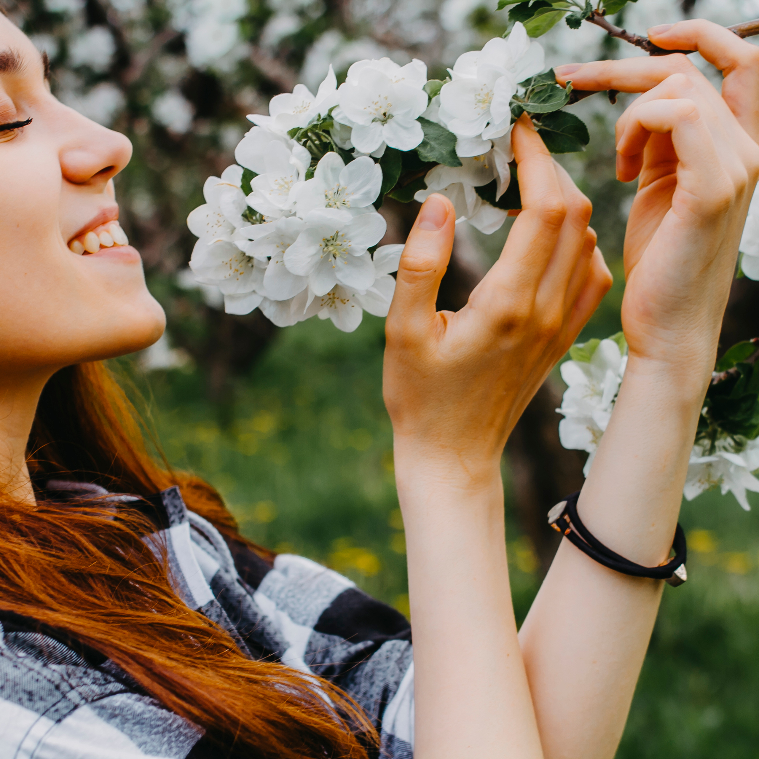 Хвалынские яблоневые сады (май 2019)