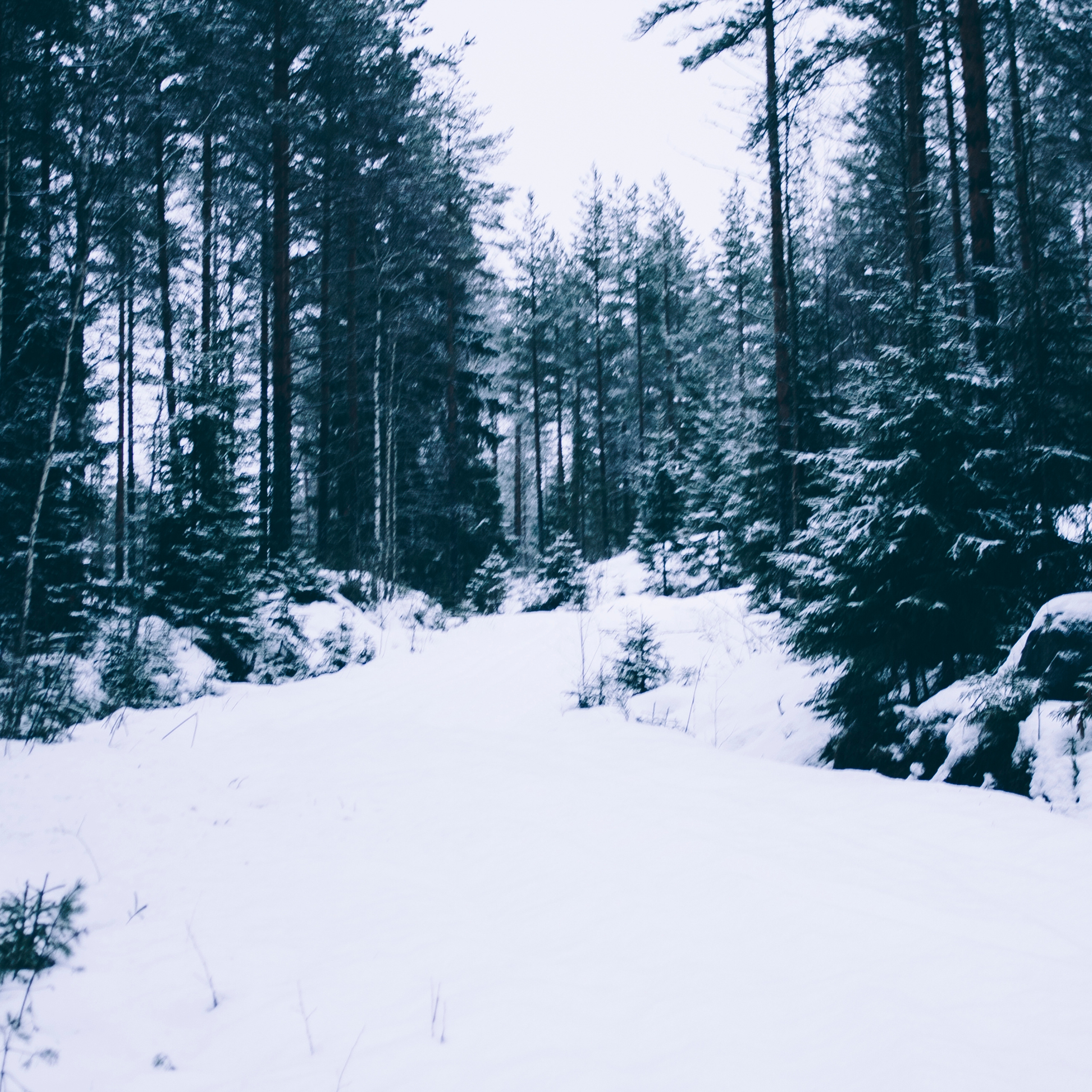 Финляндия (Новый год 2018)