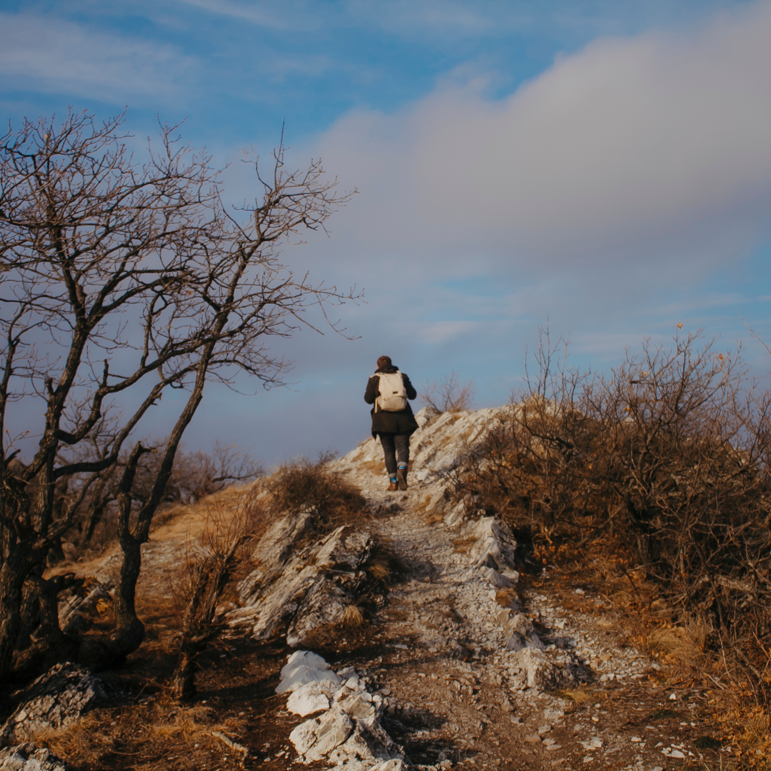 Мин воды (Новый год 2020)