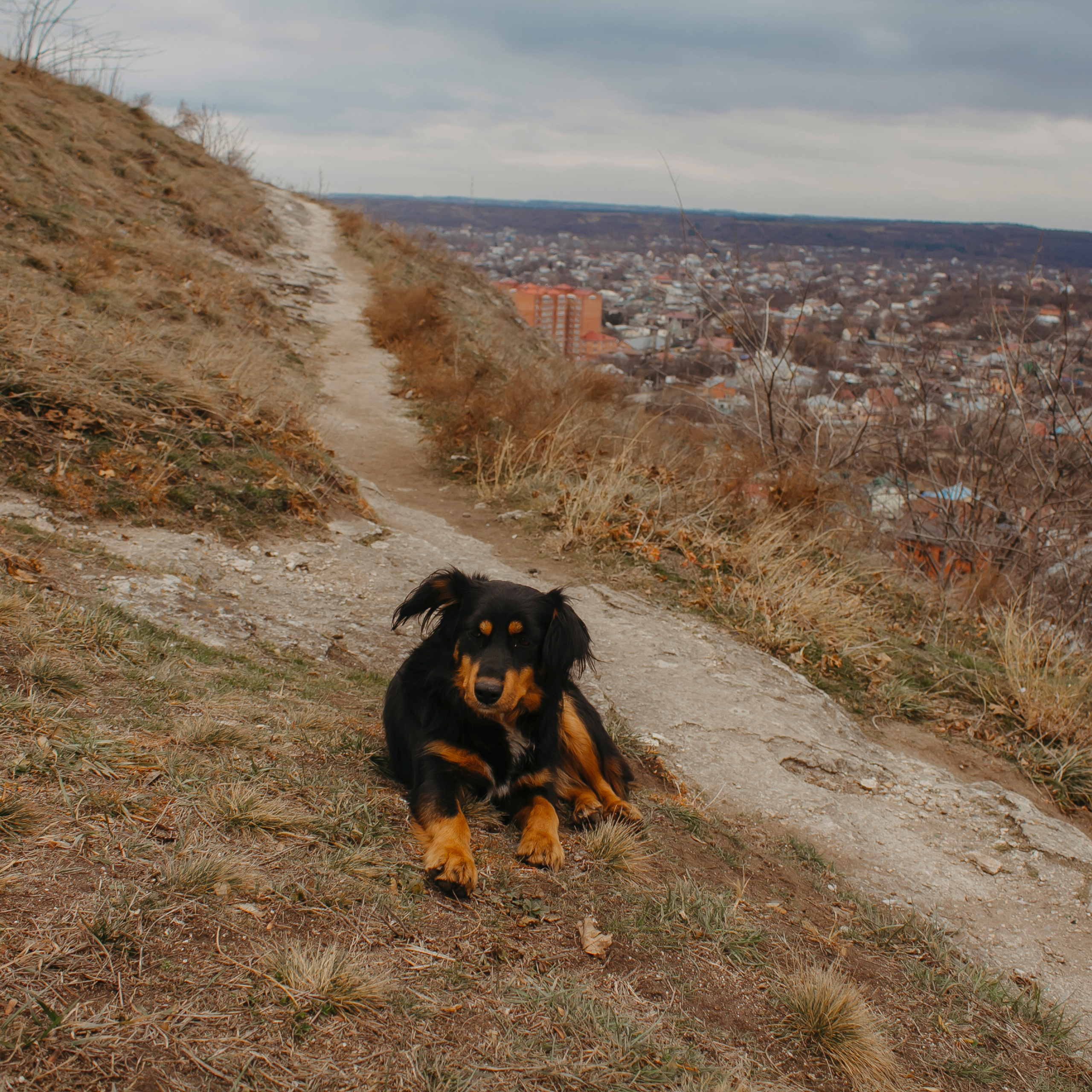 Мин воды (Новый год 2020)