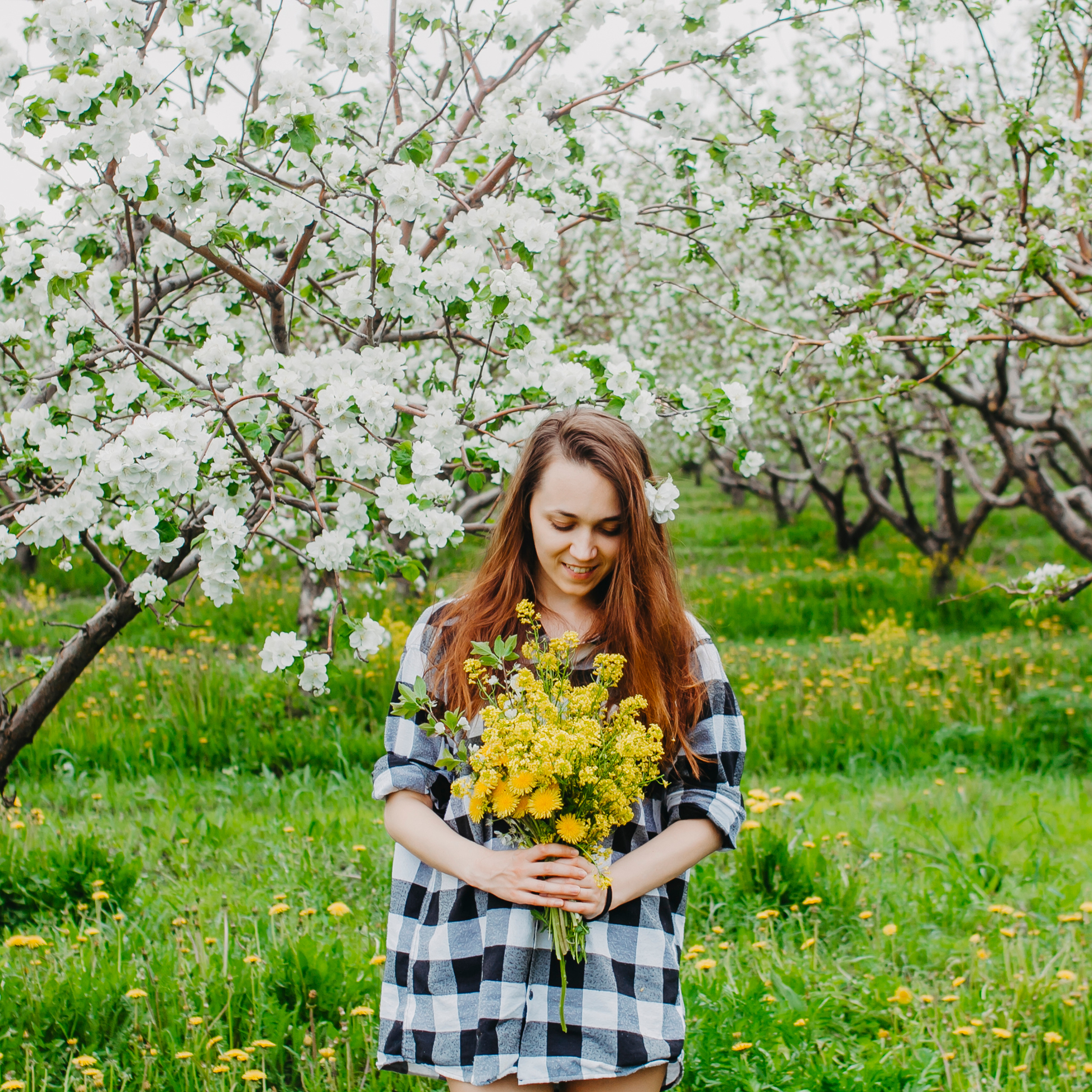 Хвалынские яблоневые сады (май 2019)