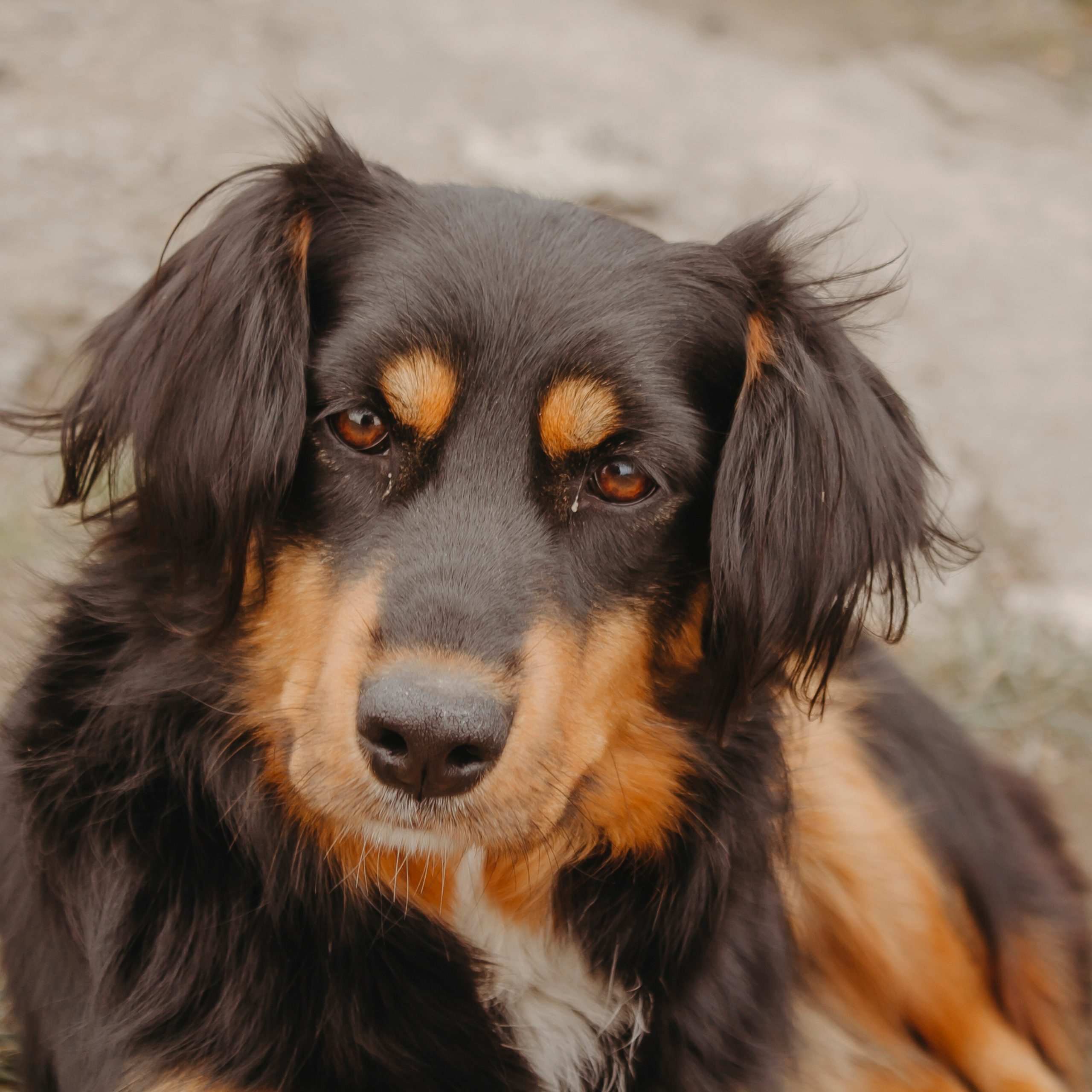 Мин воды (Новый год 2020)