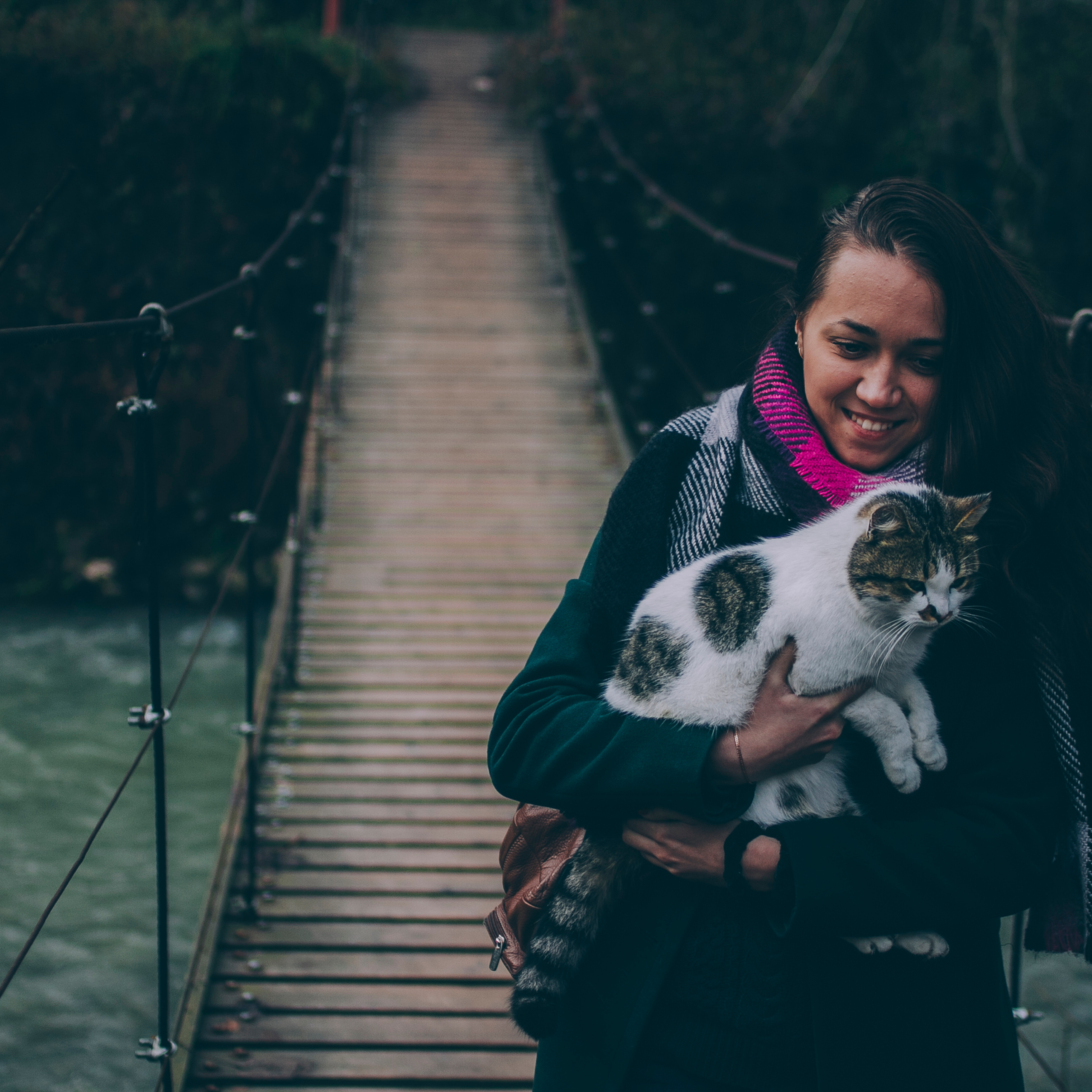 Сочи (декабрь 2017)