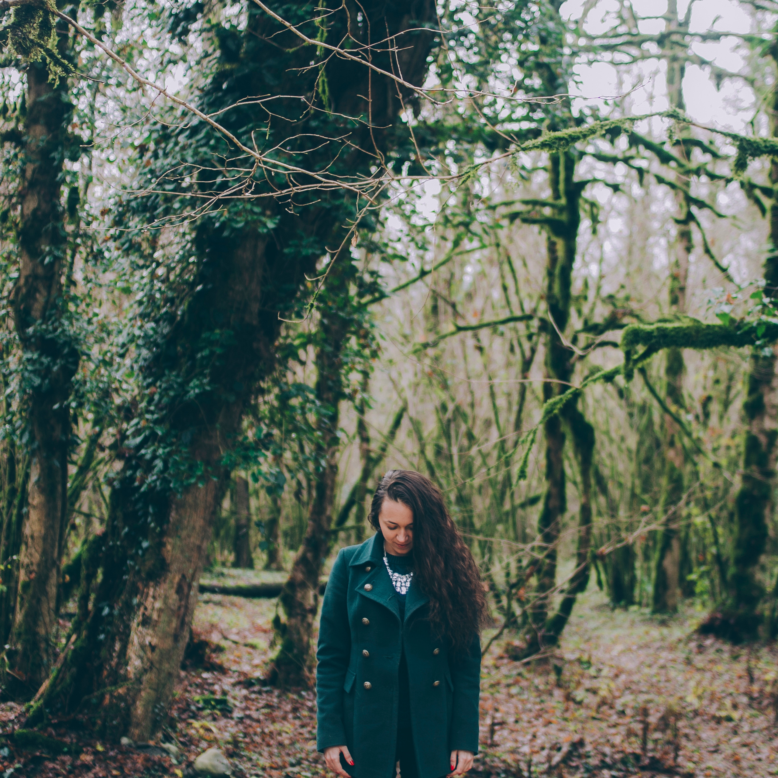 Сочи (декабрь 2017)