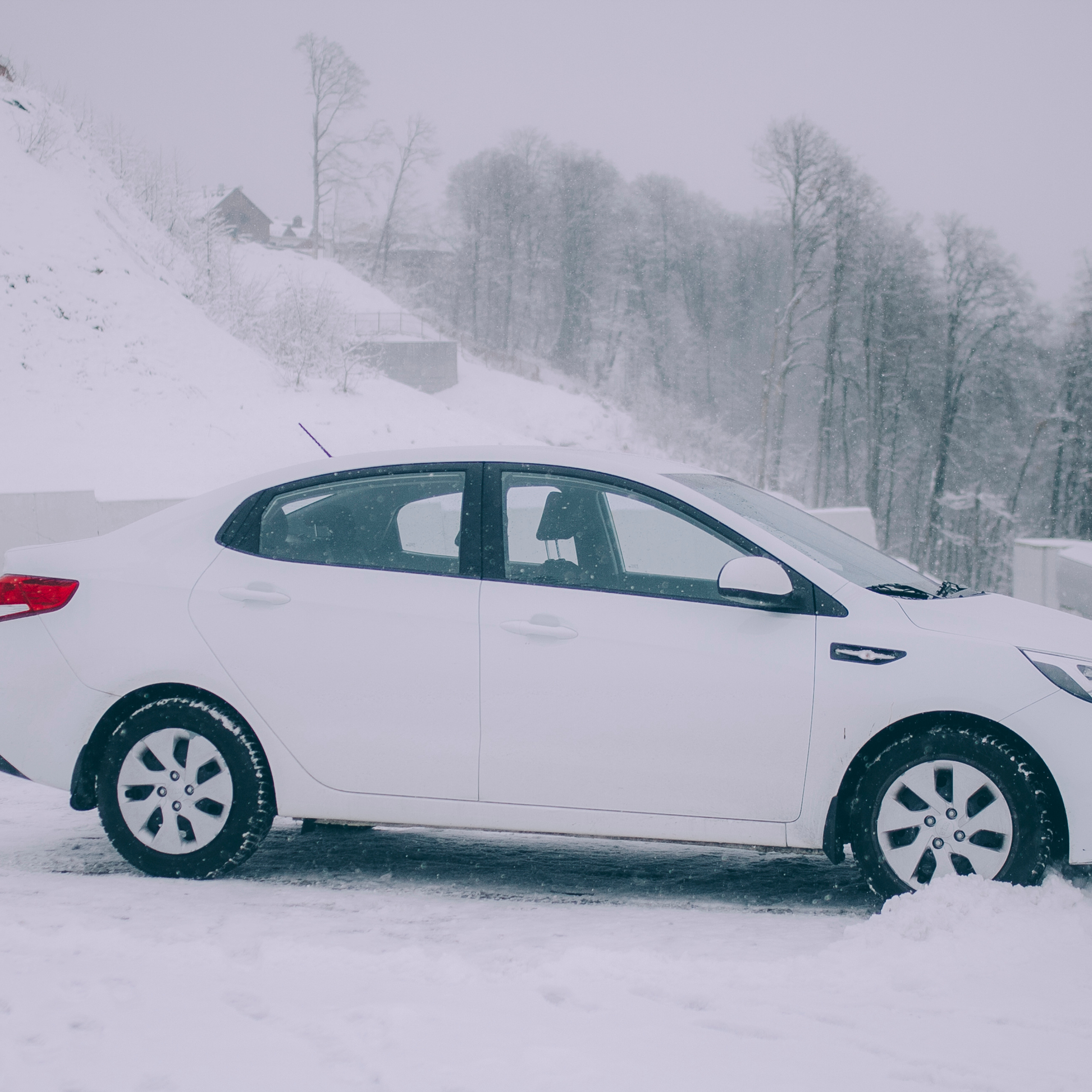 Сочи (декабрь 2017)