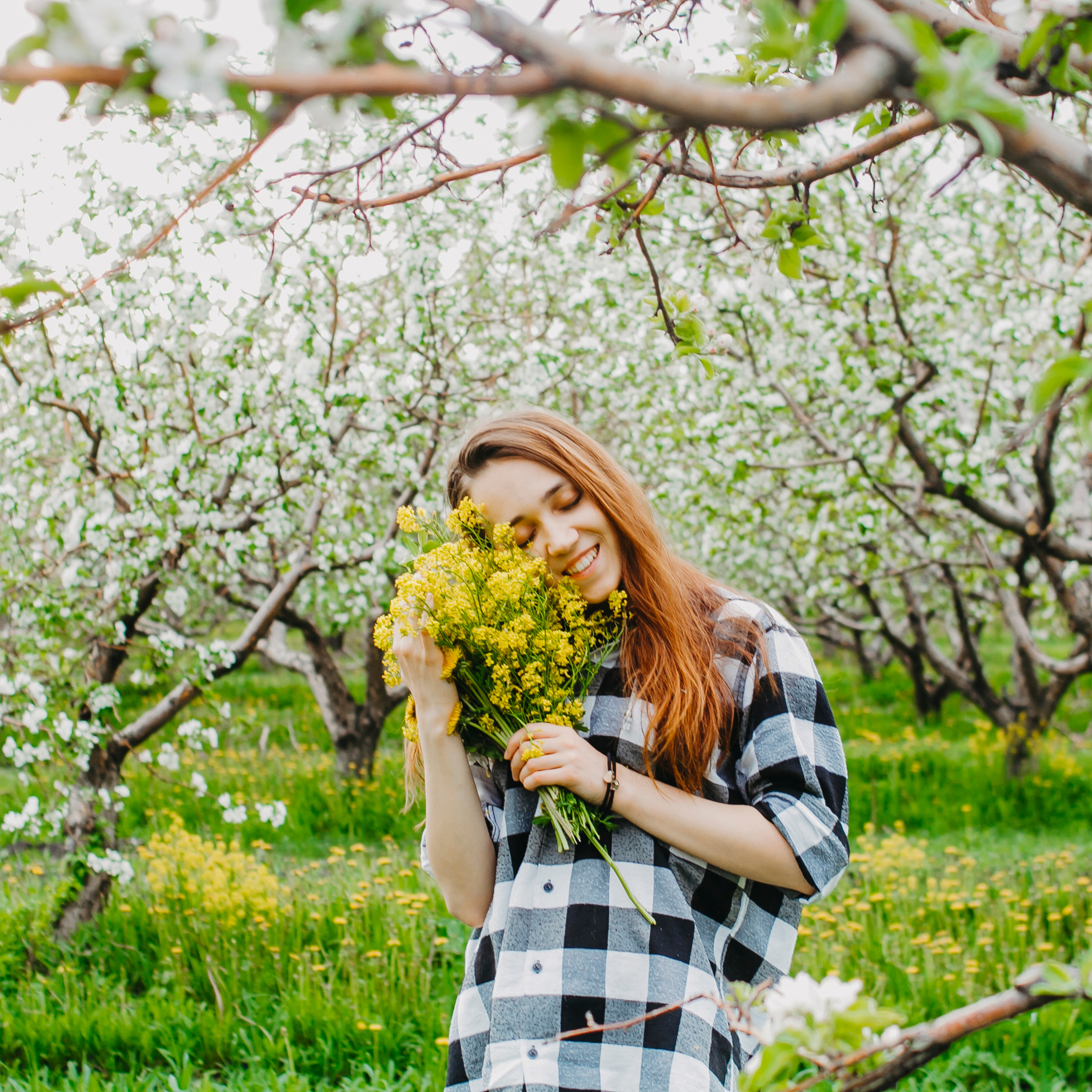 Хвалынские яблоневые сады (май 2019)