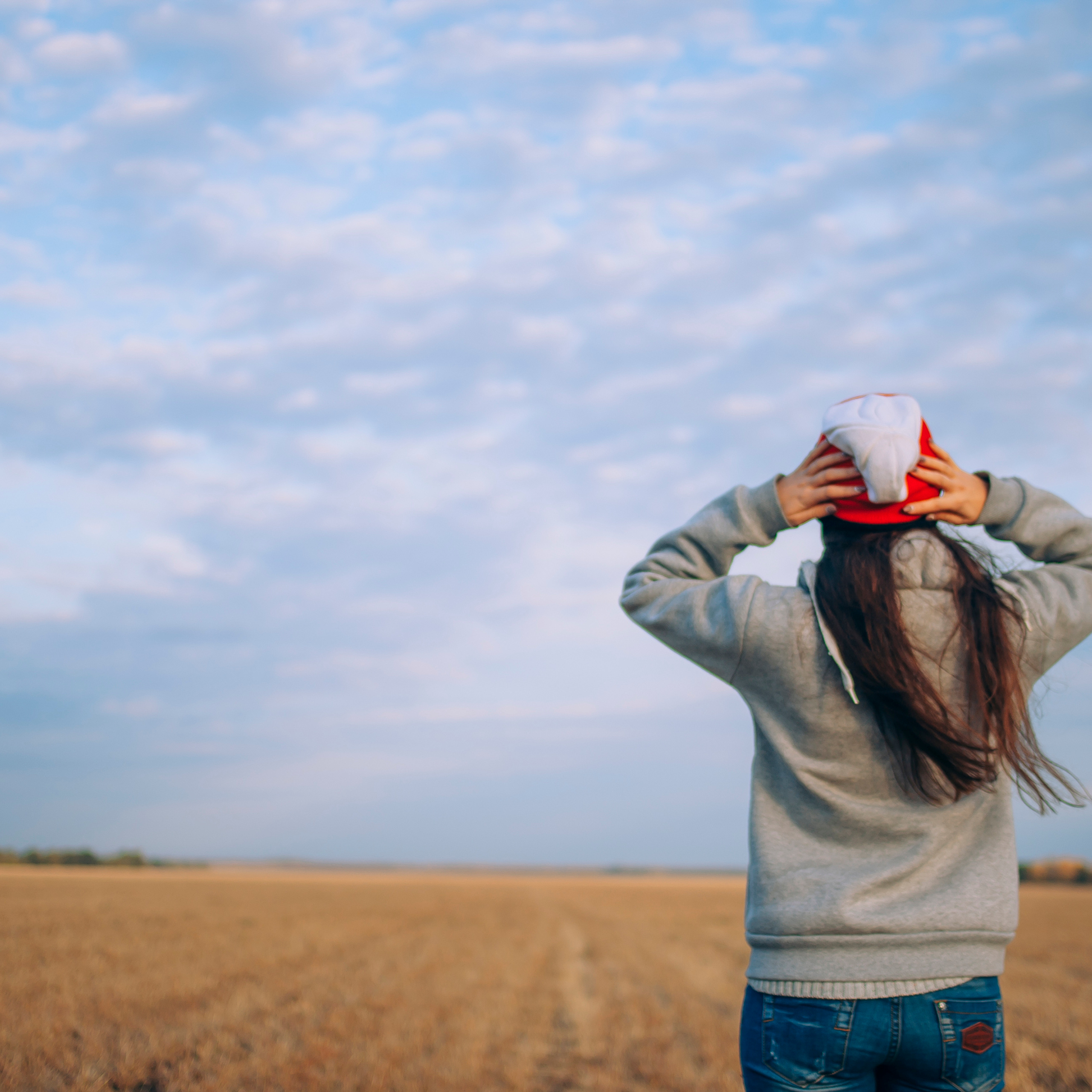 Поле у АЭС Балаково (октябрь 2018)
