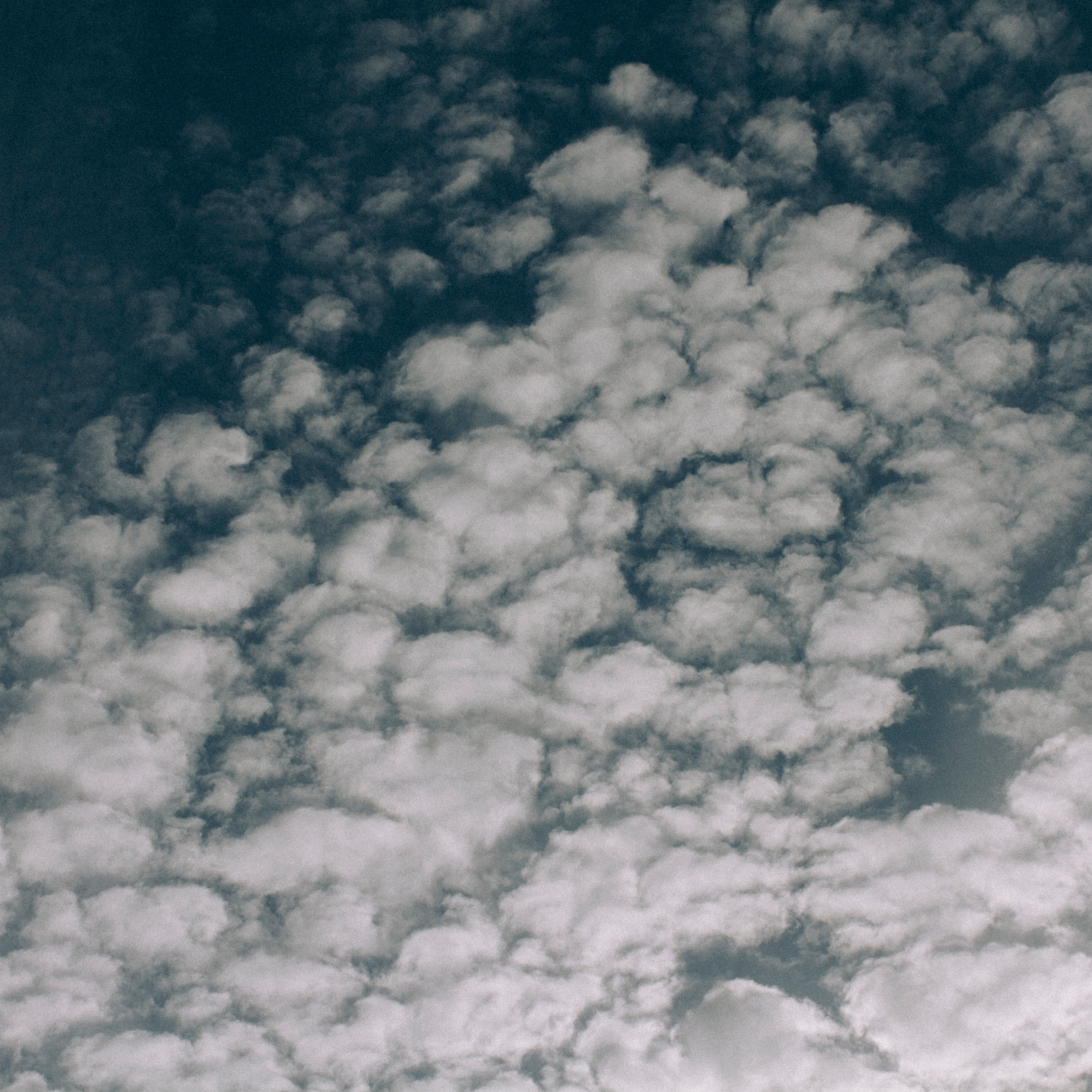 Сочи (декабрь 2017)