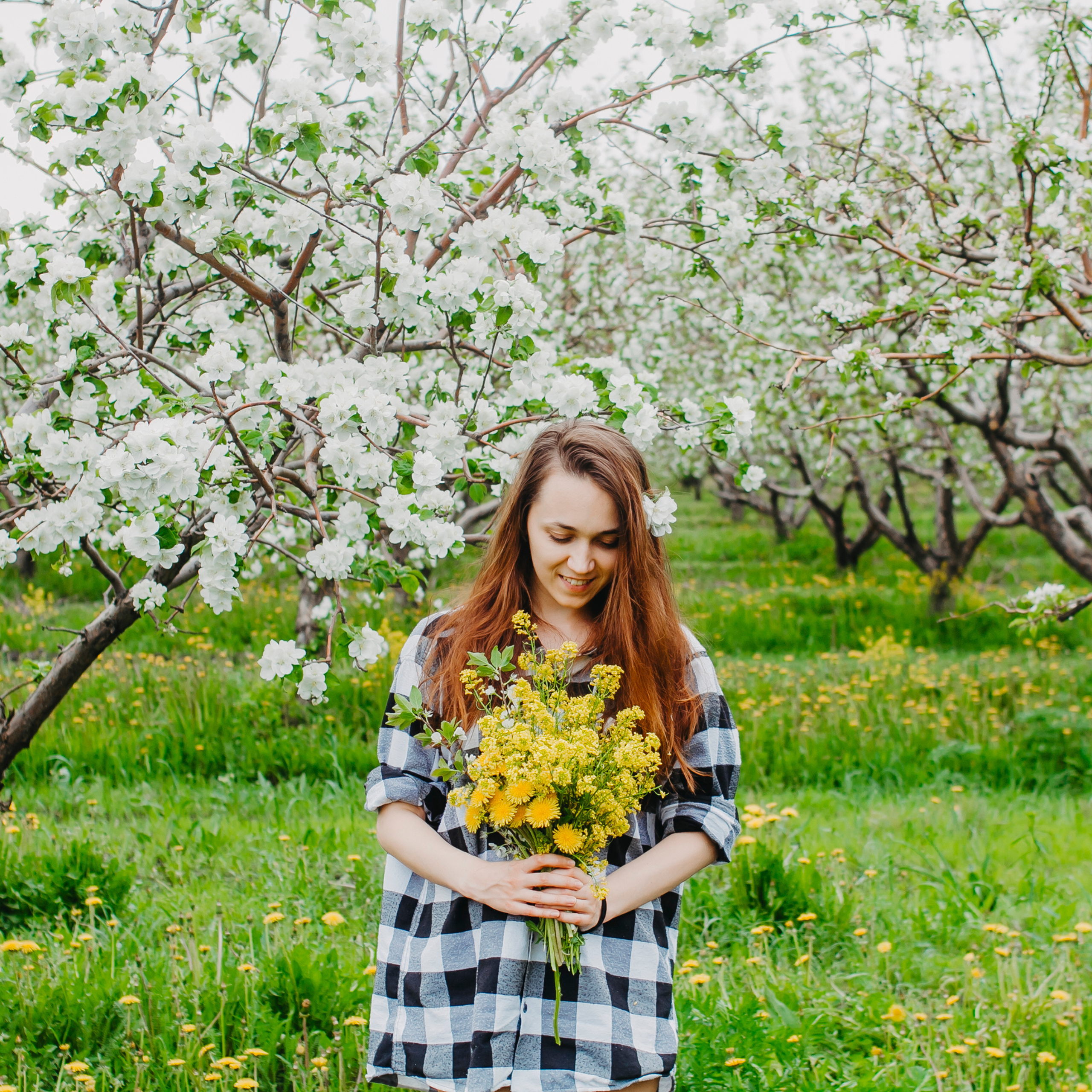 Хвалынские яблоневые сады (май 2019)