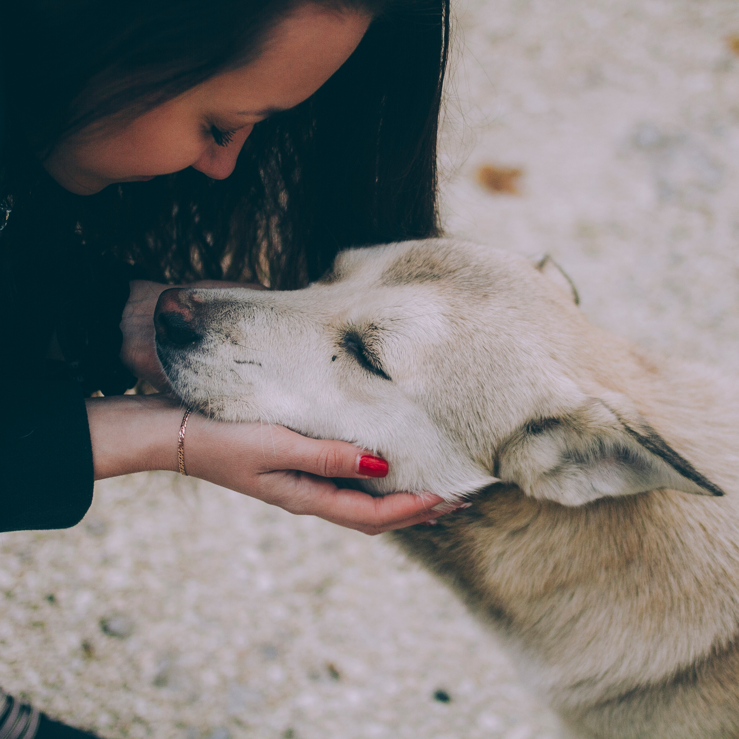 Сочи (декабрь 2017)