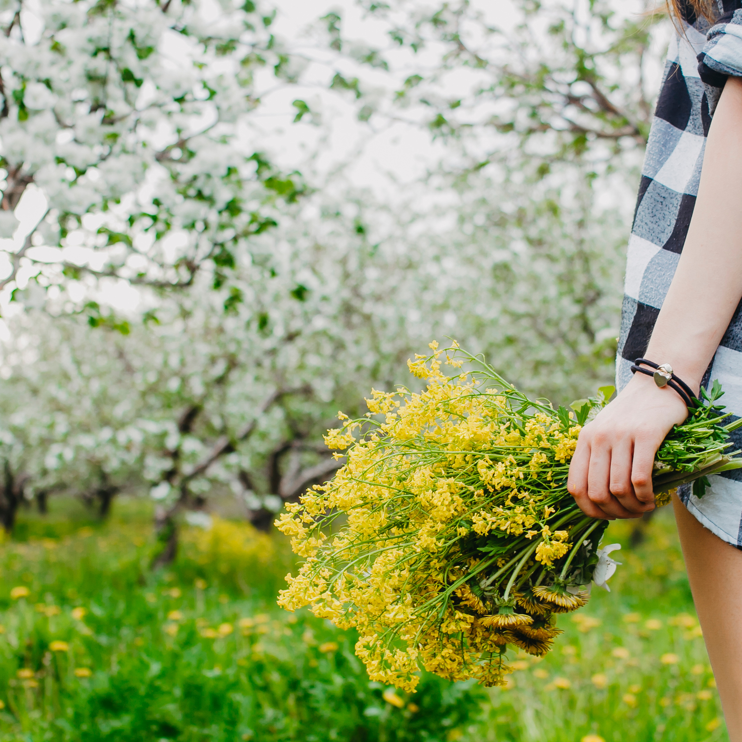 Хвалынские яблоневые сады (май 2019)