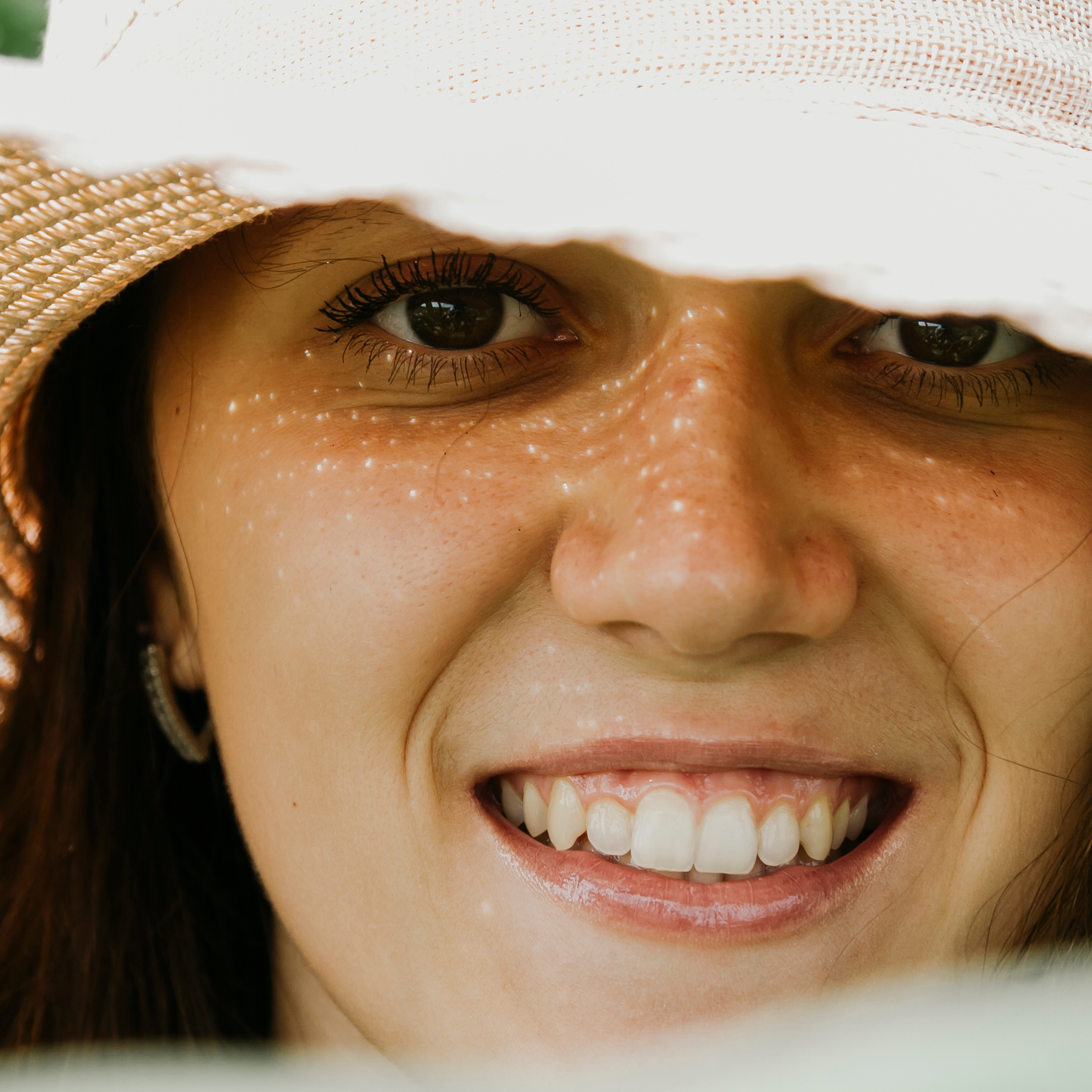 Кукурузные поля (август 2019)