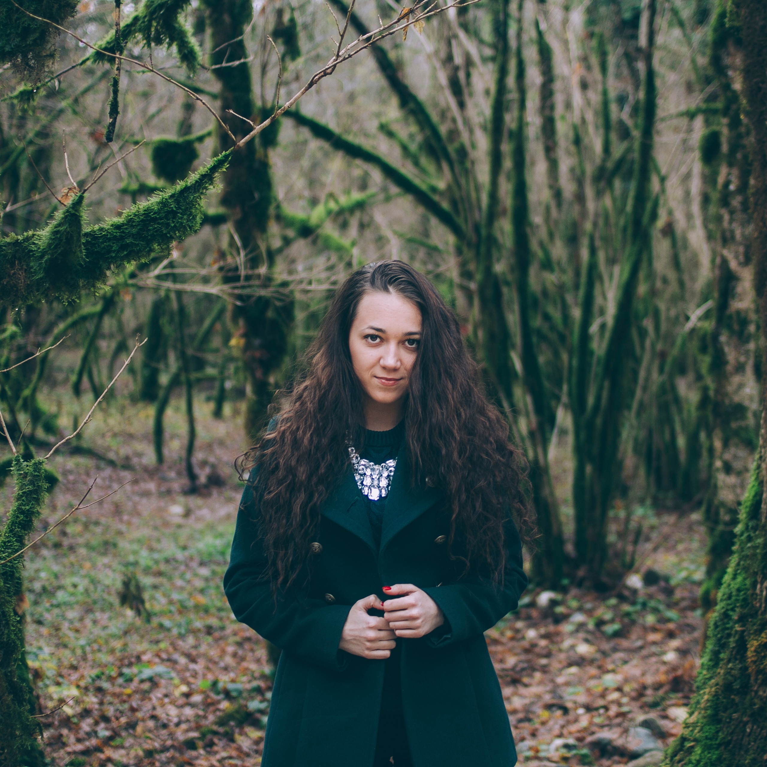 Сочи (декабрь 2017)