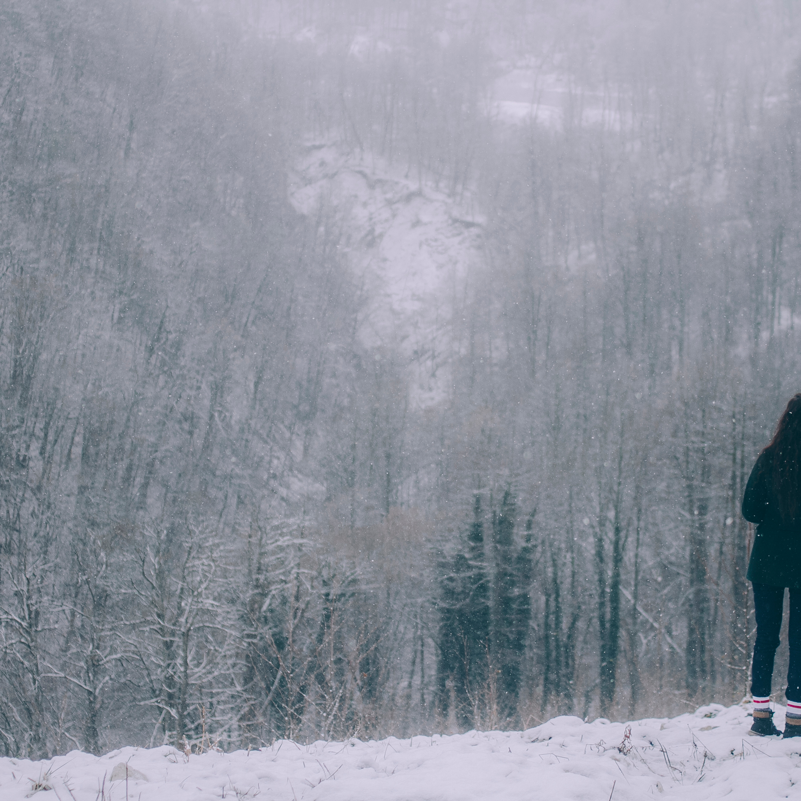 Сочи (декабрь 2017)