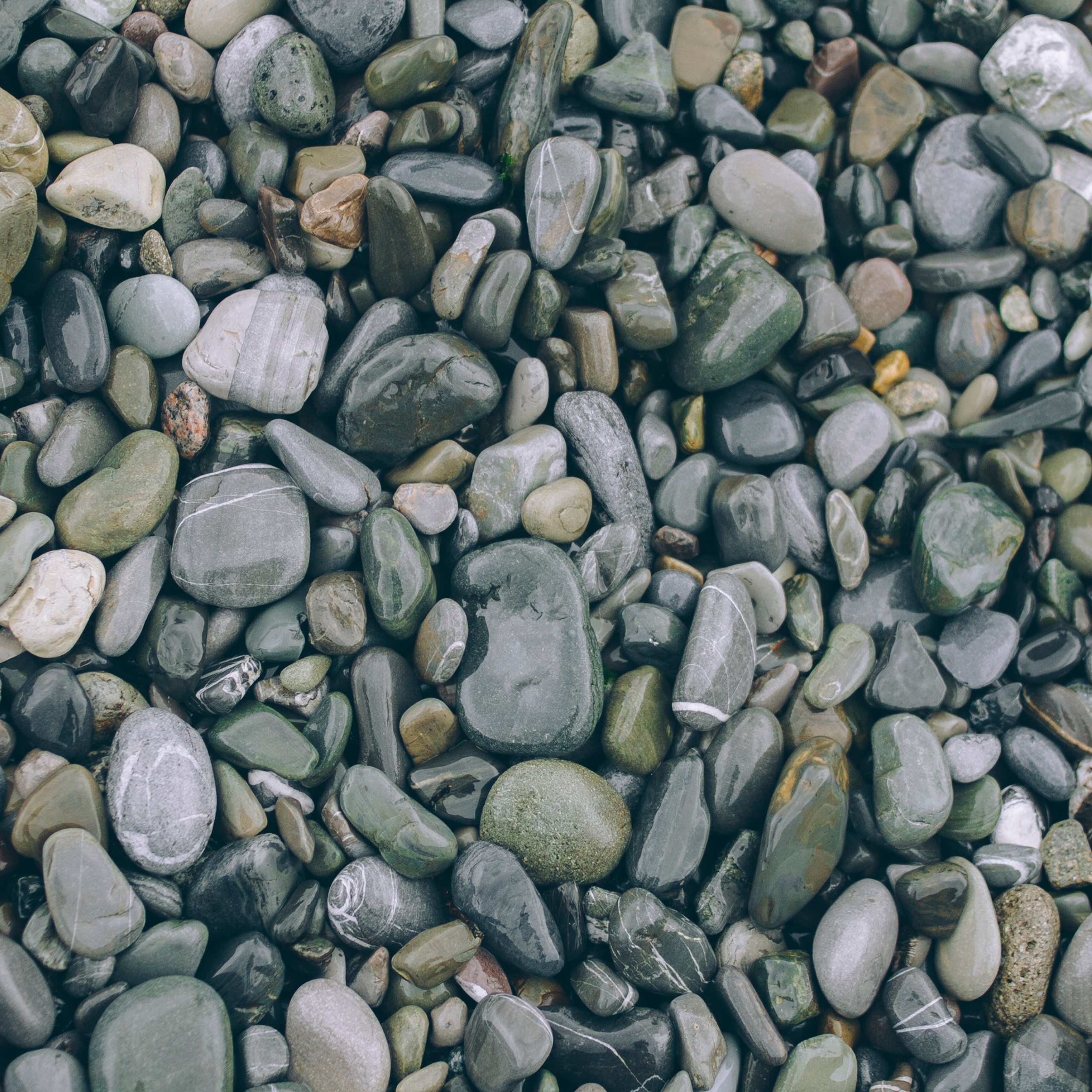 Сочи (декабрь 2017)