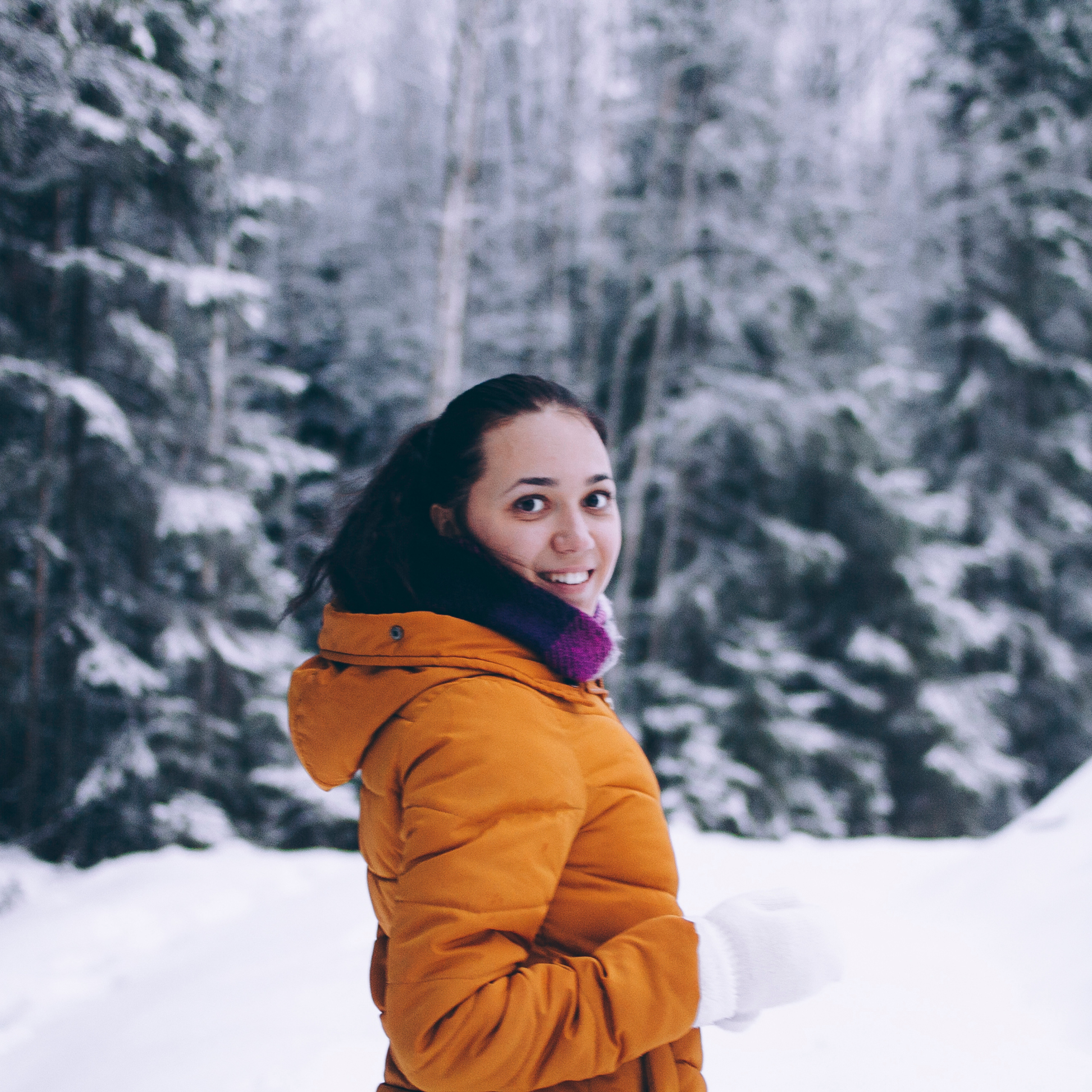 Финляндия (Новый год 2018)