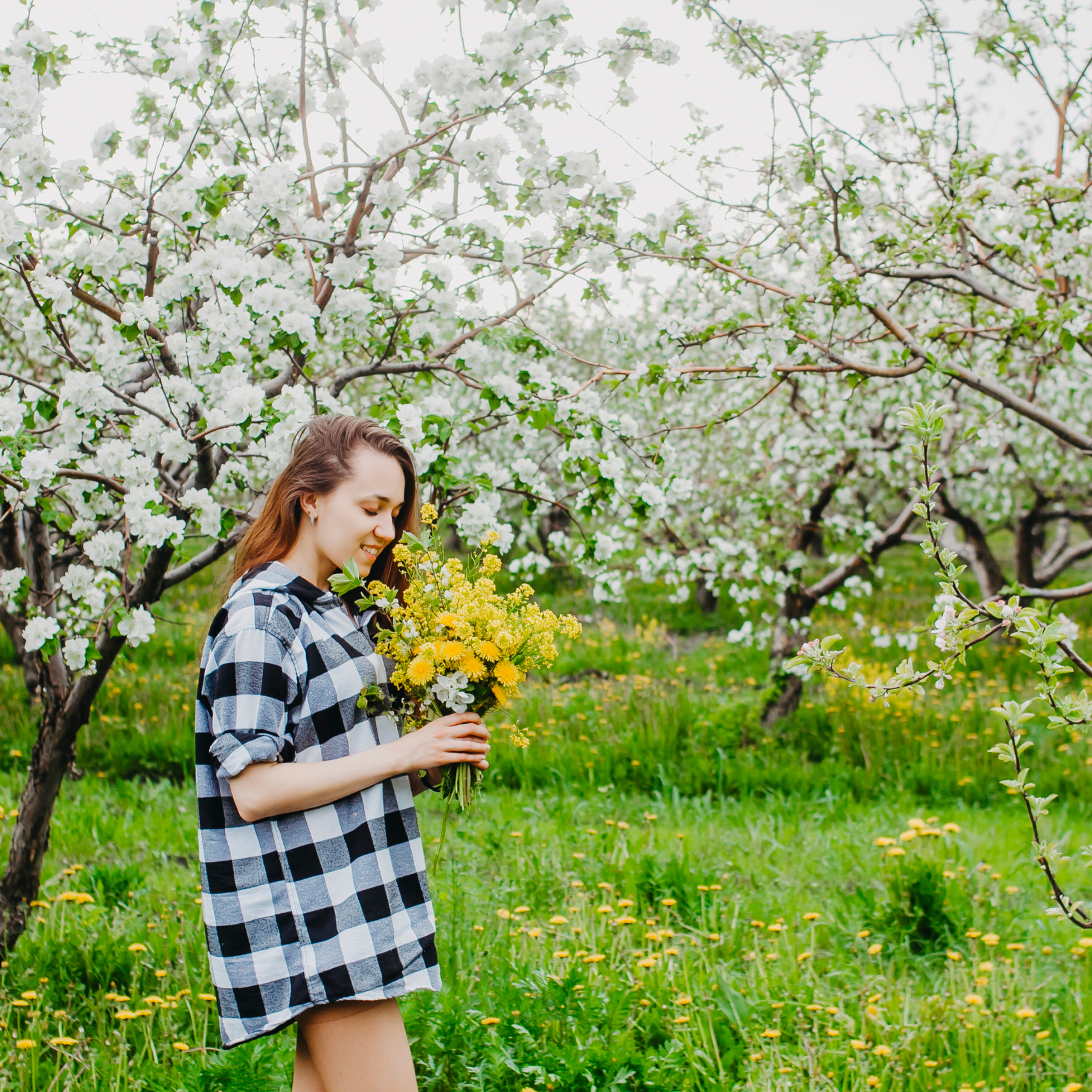 Хвалынские яблоневые сады (май 2019)