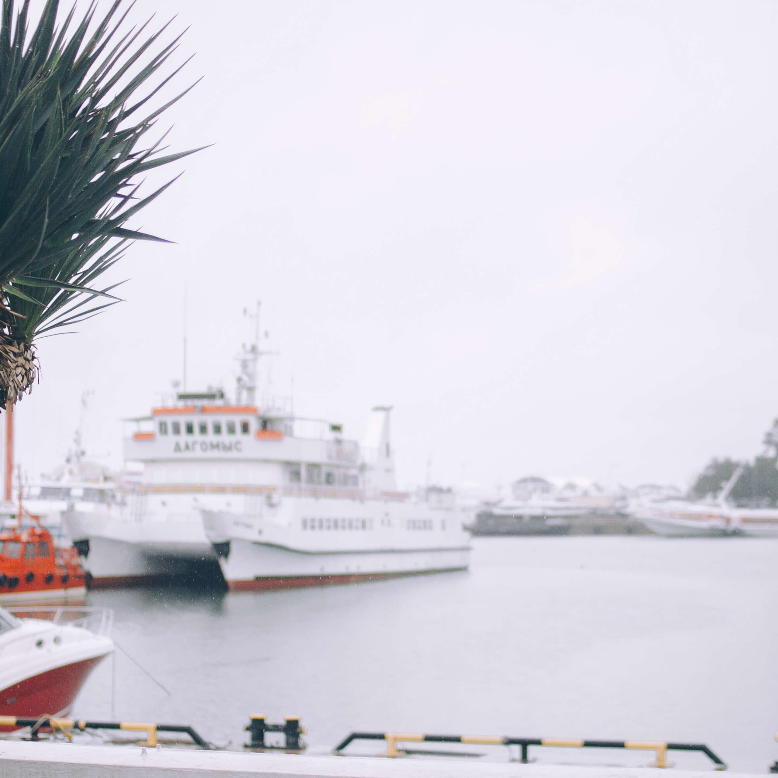 Сочи (декабрь 2017)