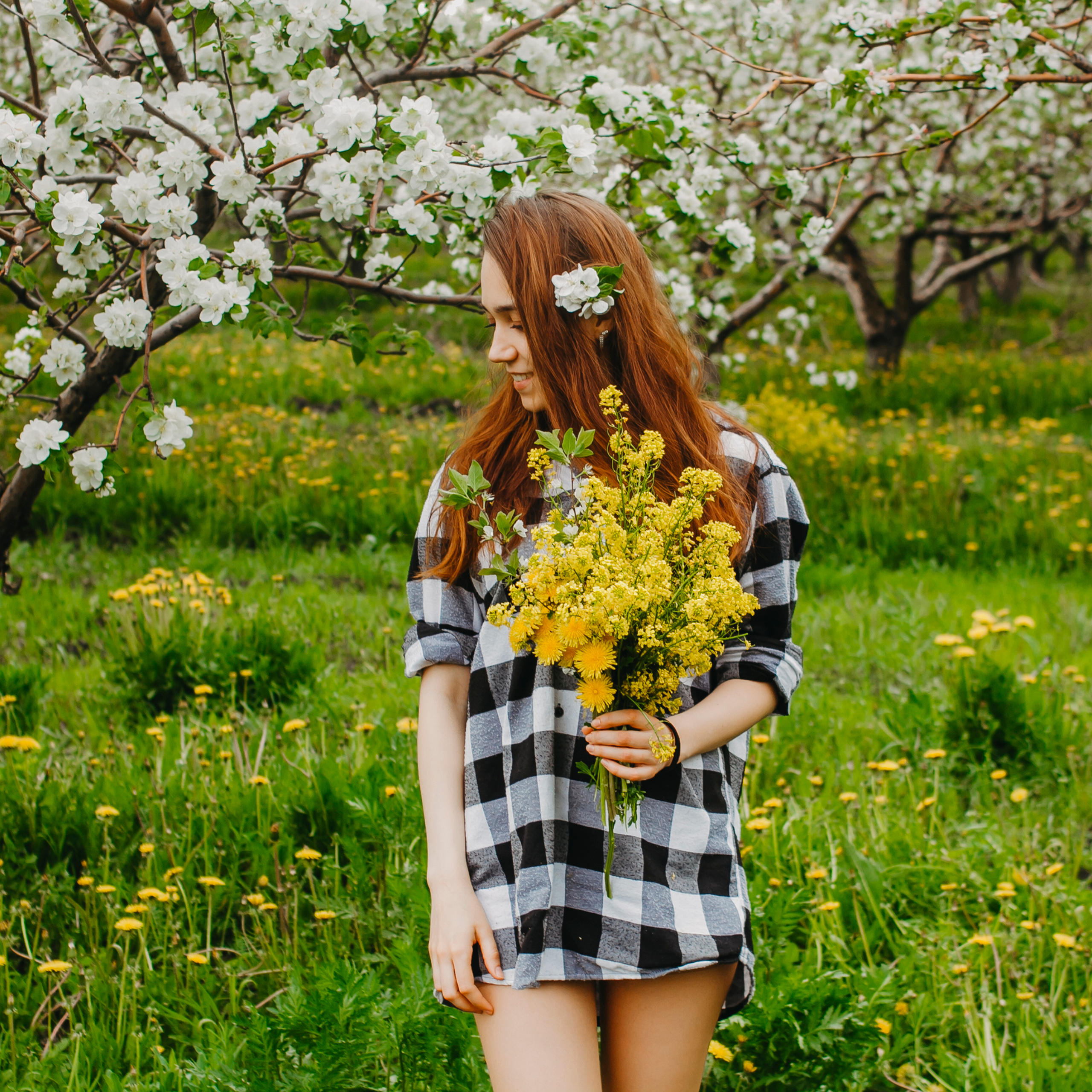 Хвалынские яблоневые сады (май 2019)