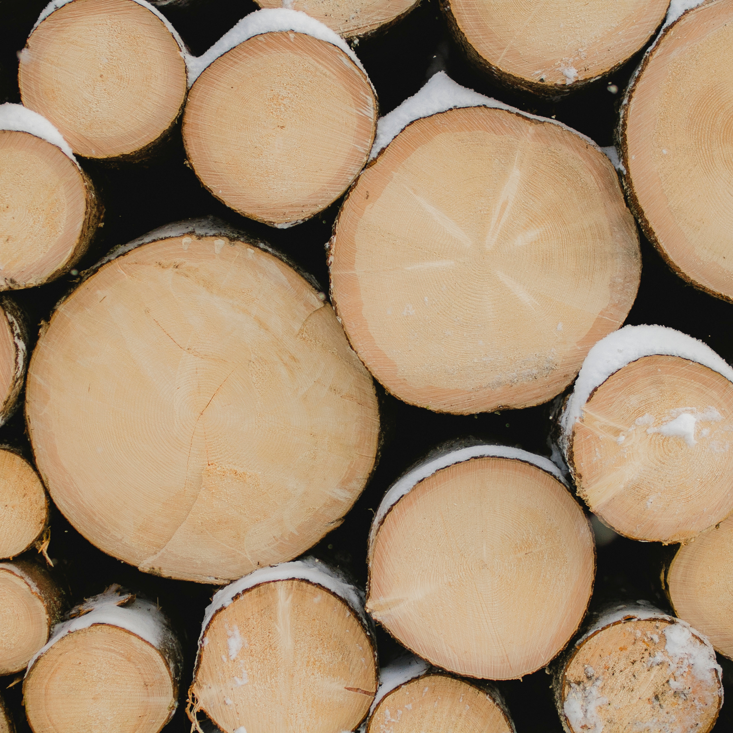 Рускеала Карелия (февраль 2018)