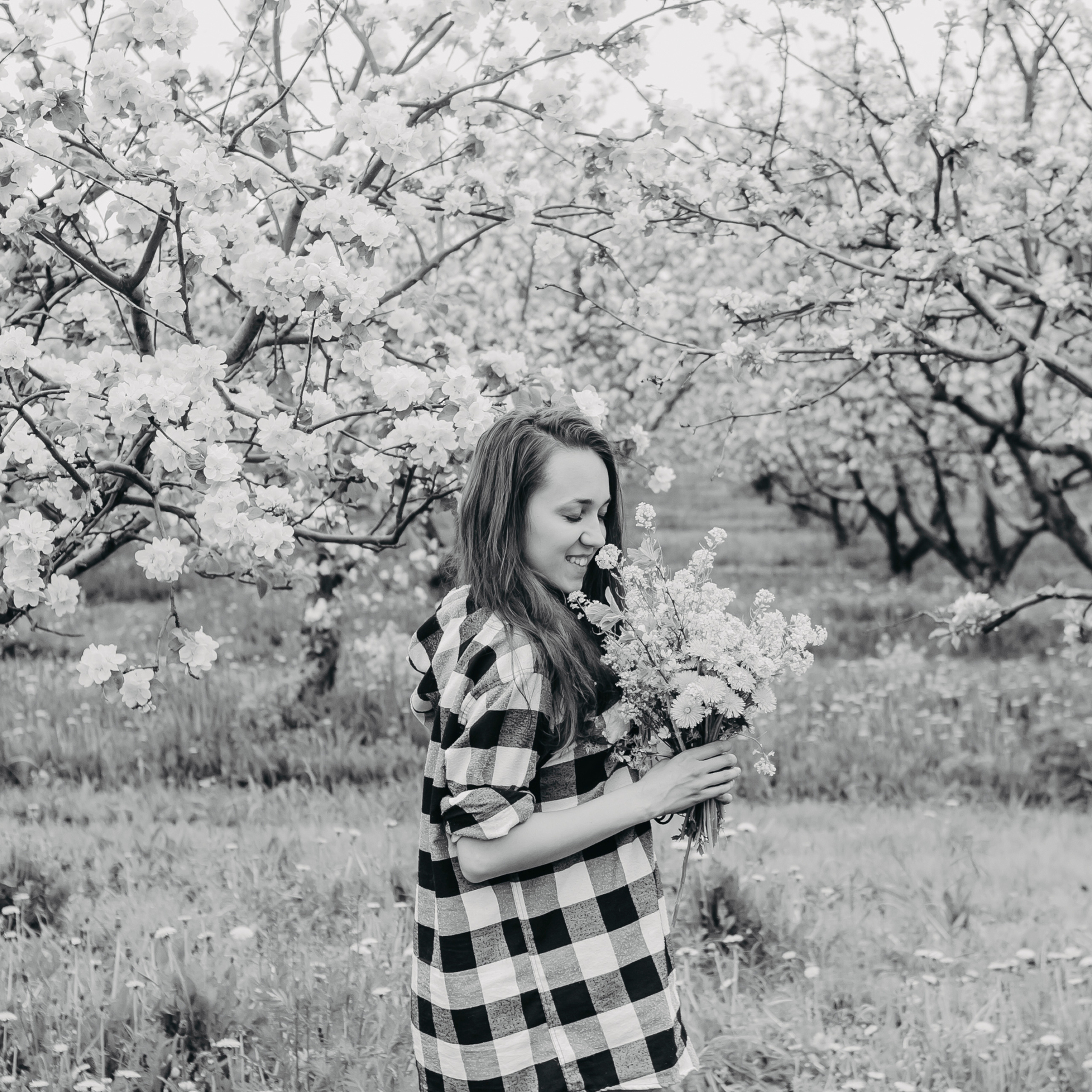 Хвалынские яблоневые сады (май 2019)