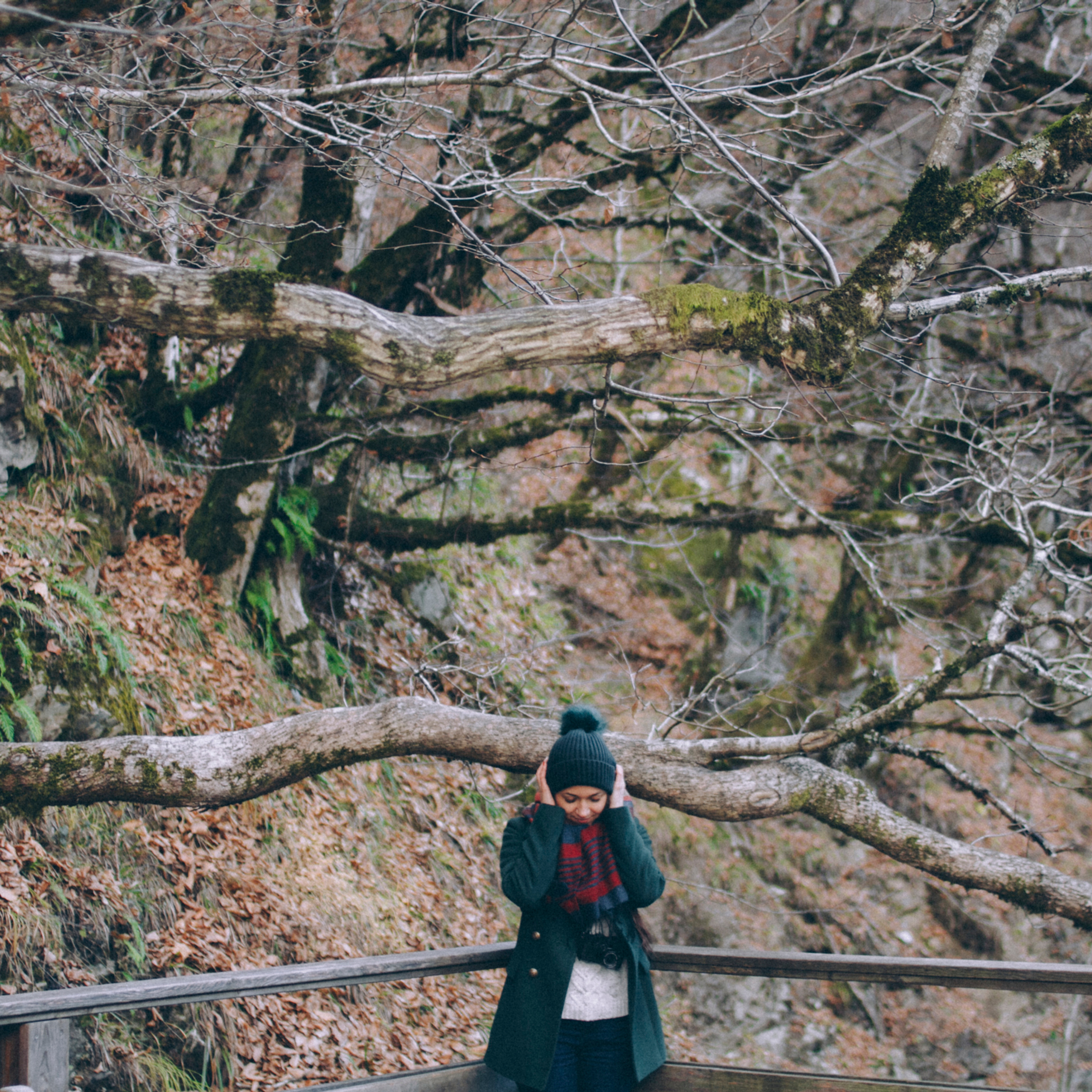 Сочи (декабрь 2017)