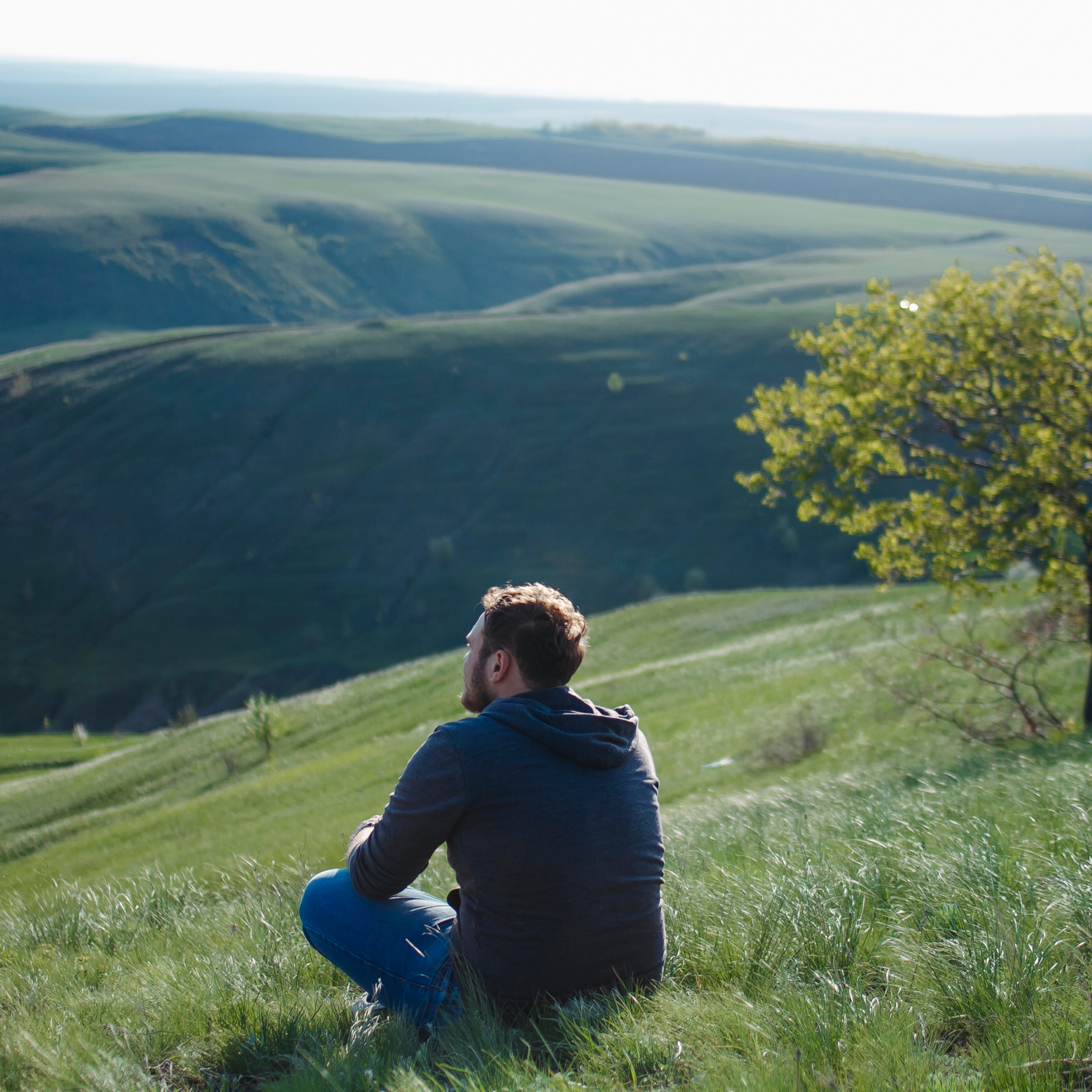 Гора Меровка (июль 2019)