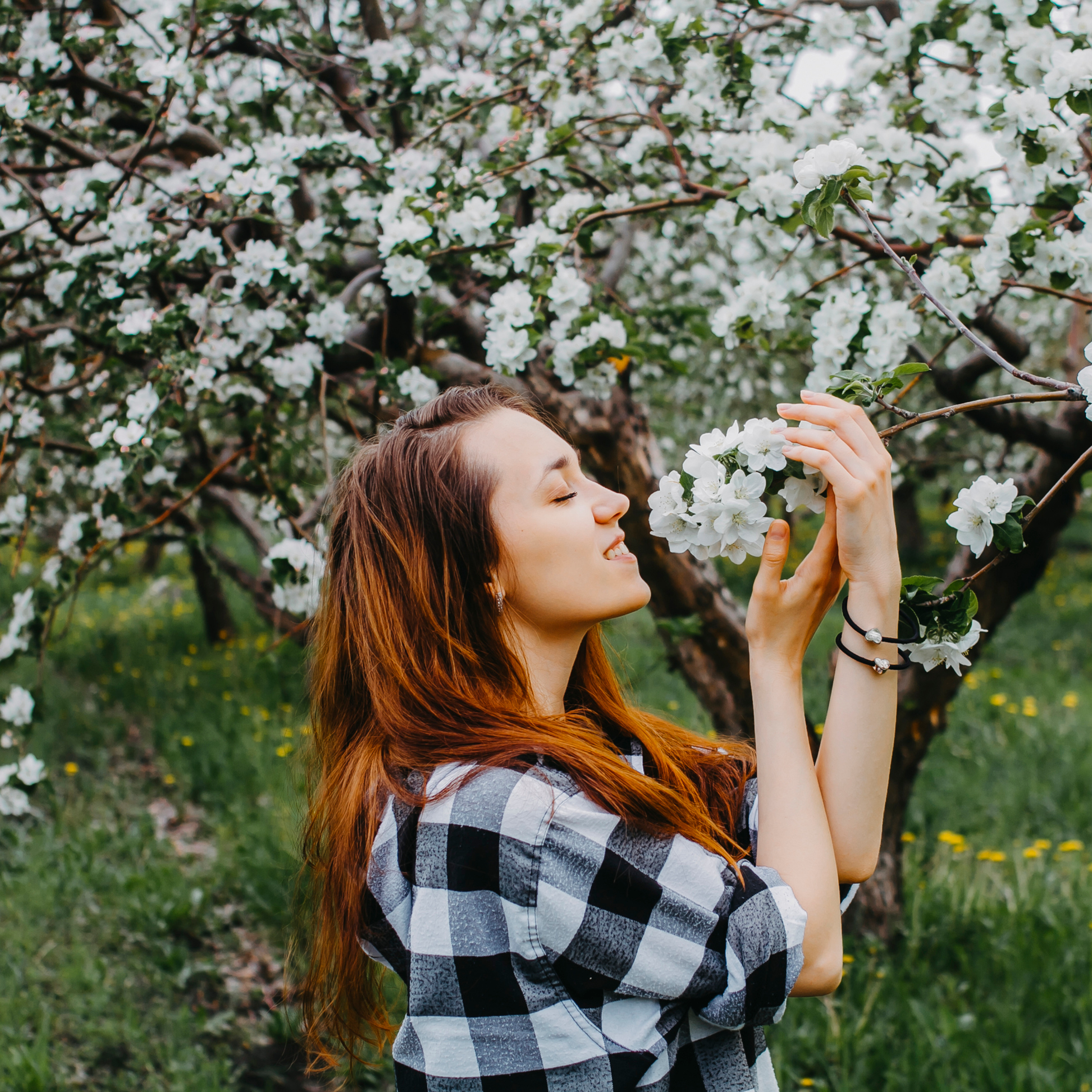 Хвалынские яблоневые сады (май 2019)