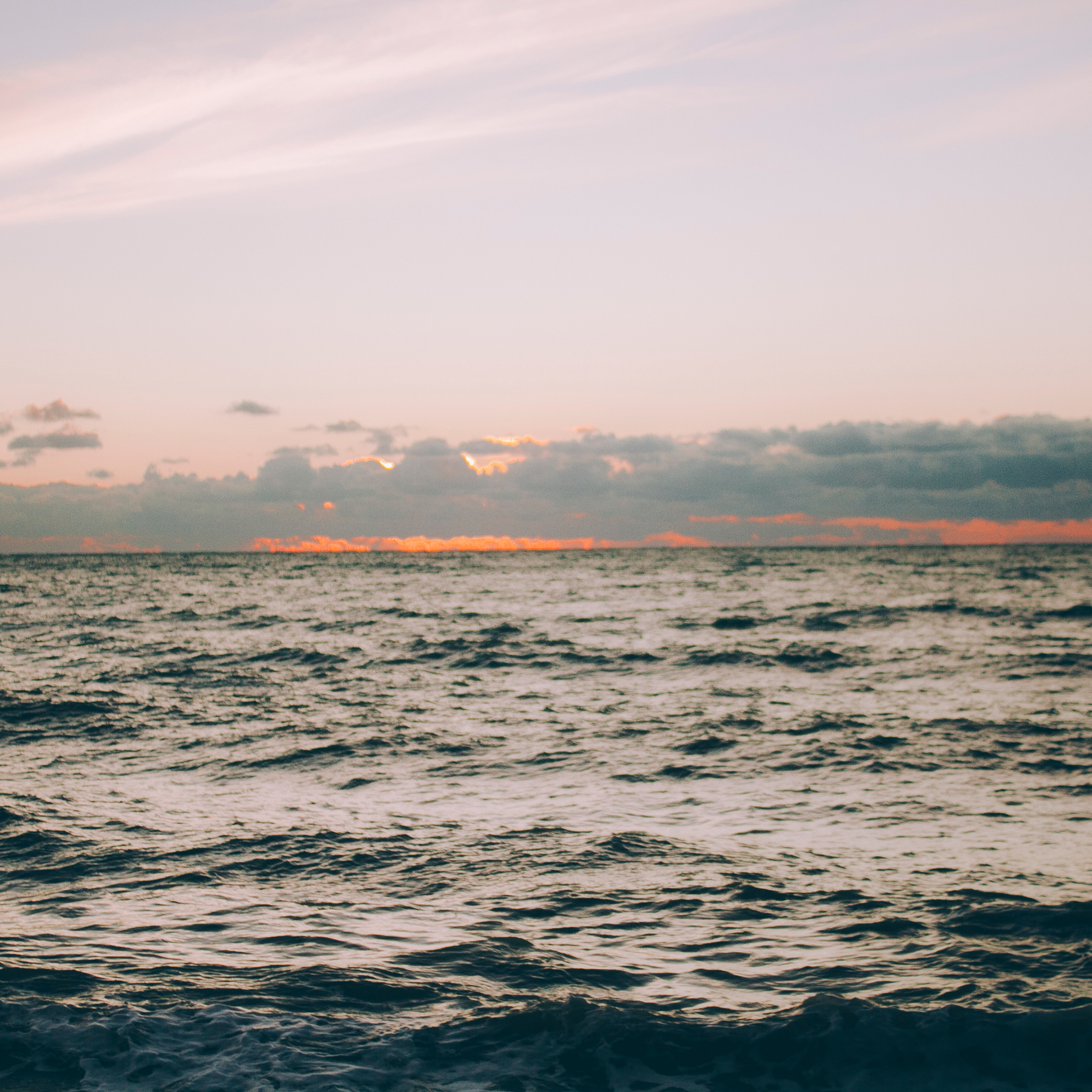 Сочи (декабрь 2017)