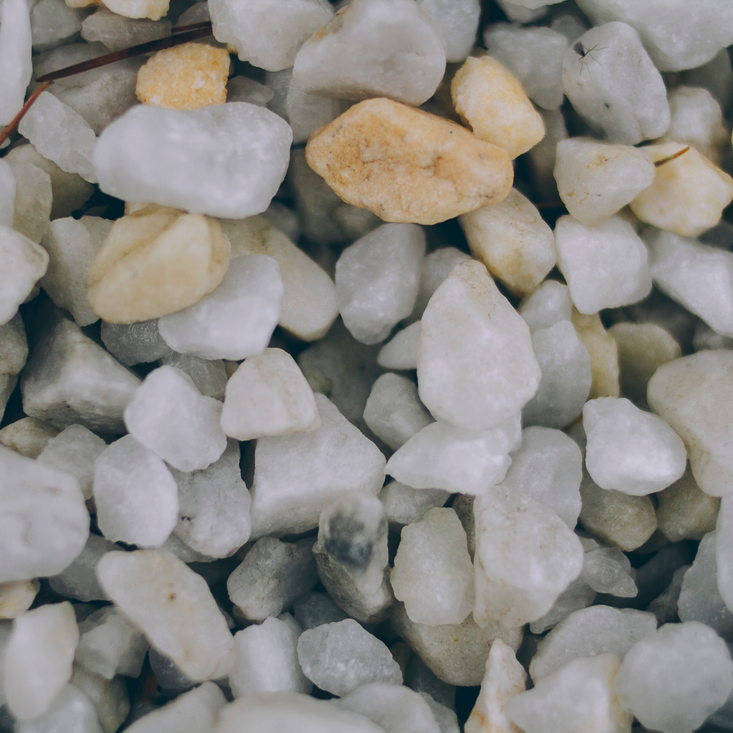 Сочи (декабрь 2017)