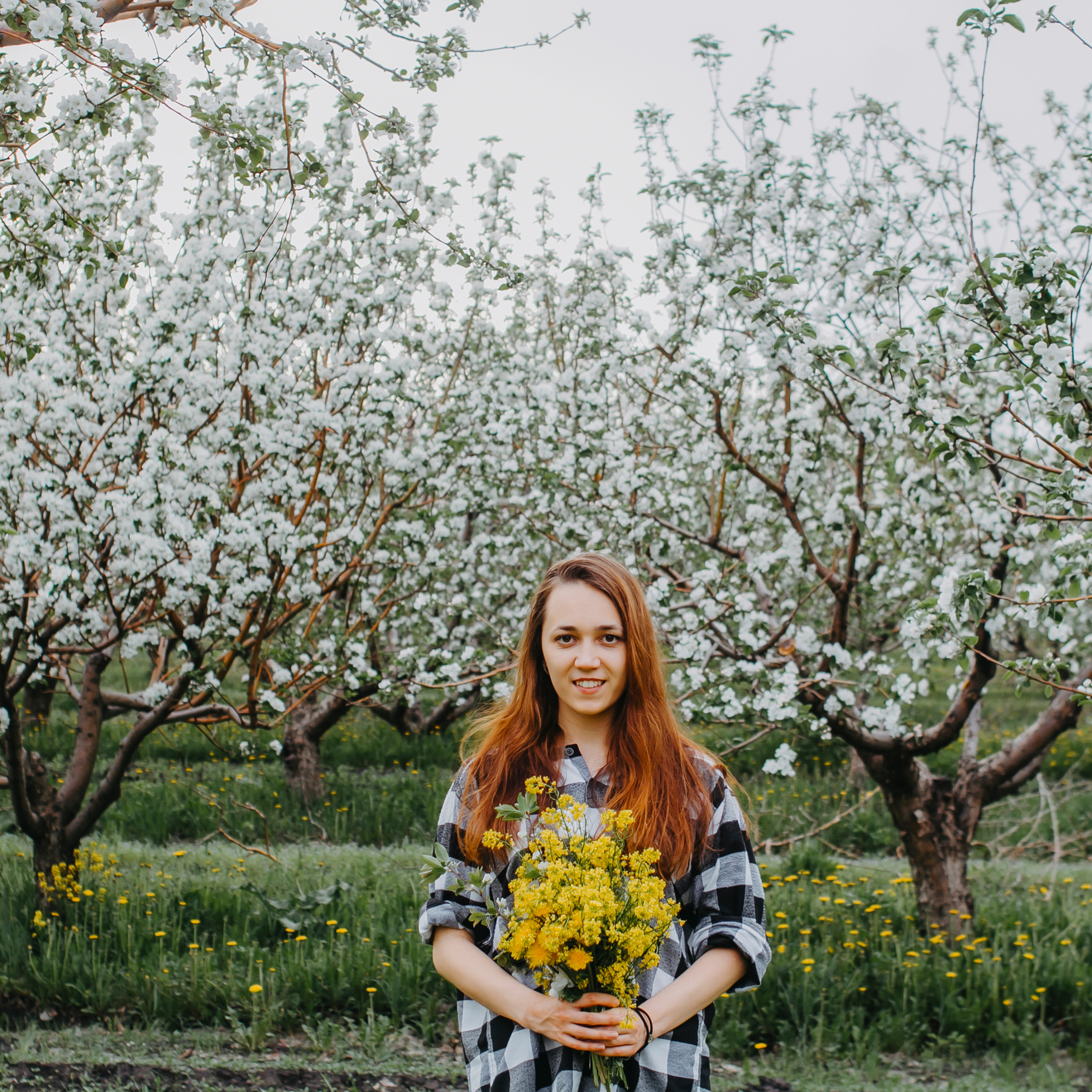 Хвалынские яблоневые сады (май 2019)
