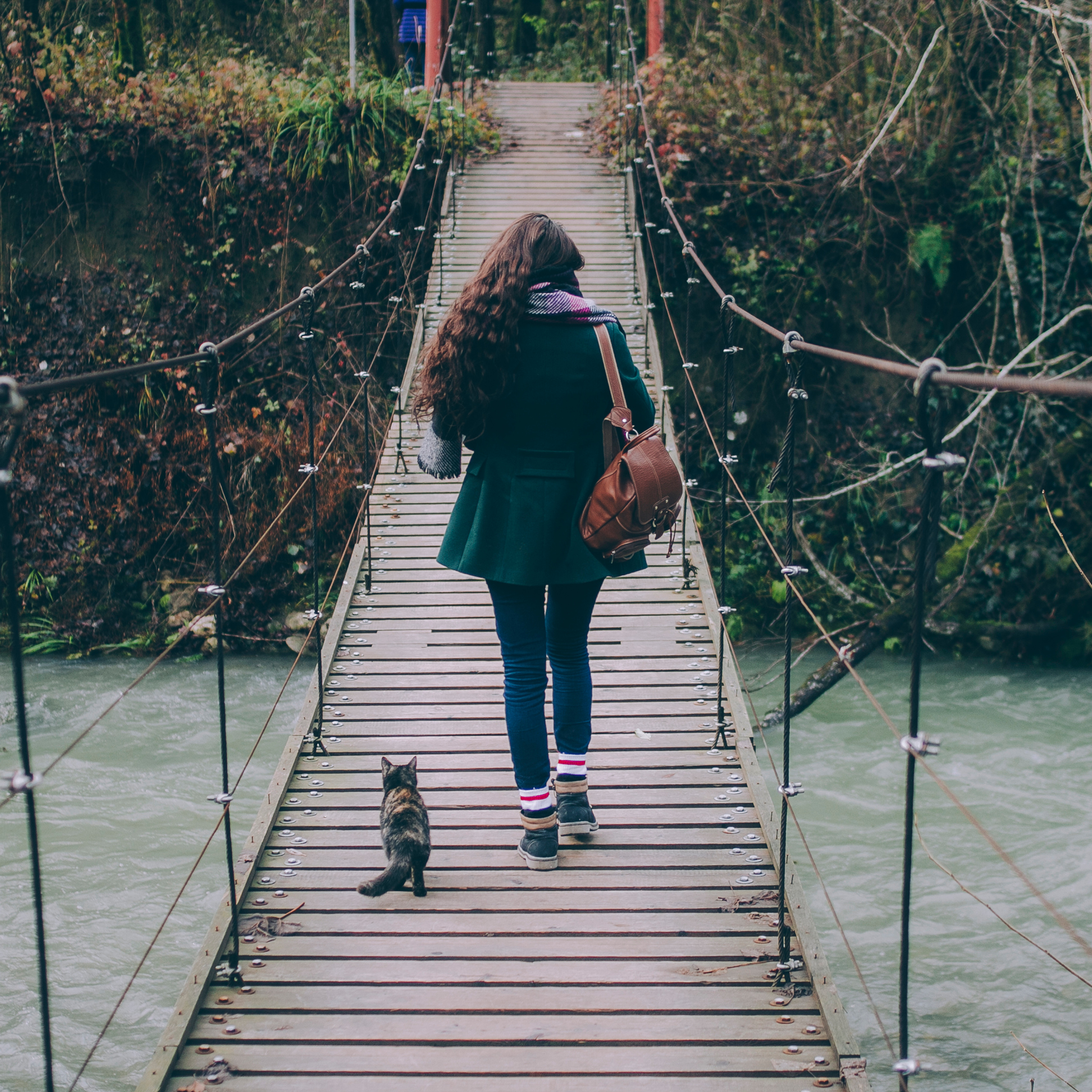 Сочи (декабрь 2017)