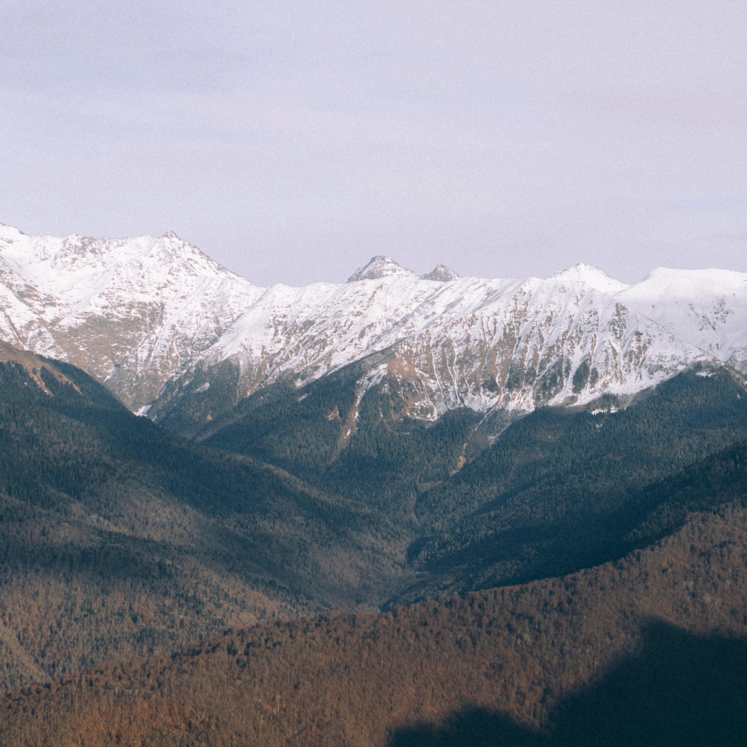 Сочи (декабрь 2017)