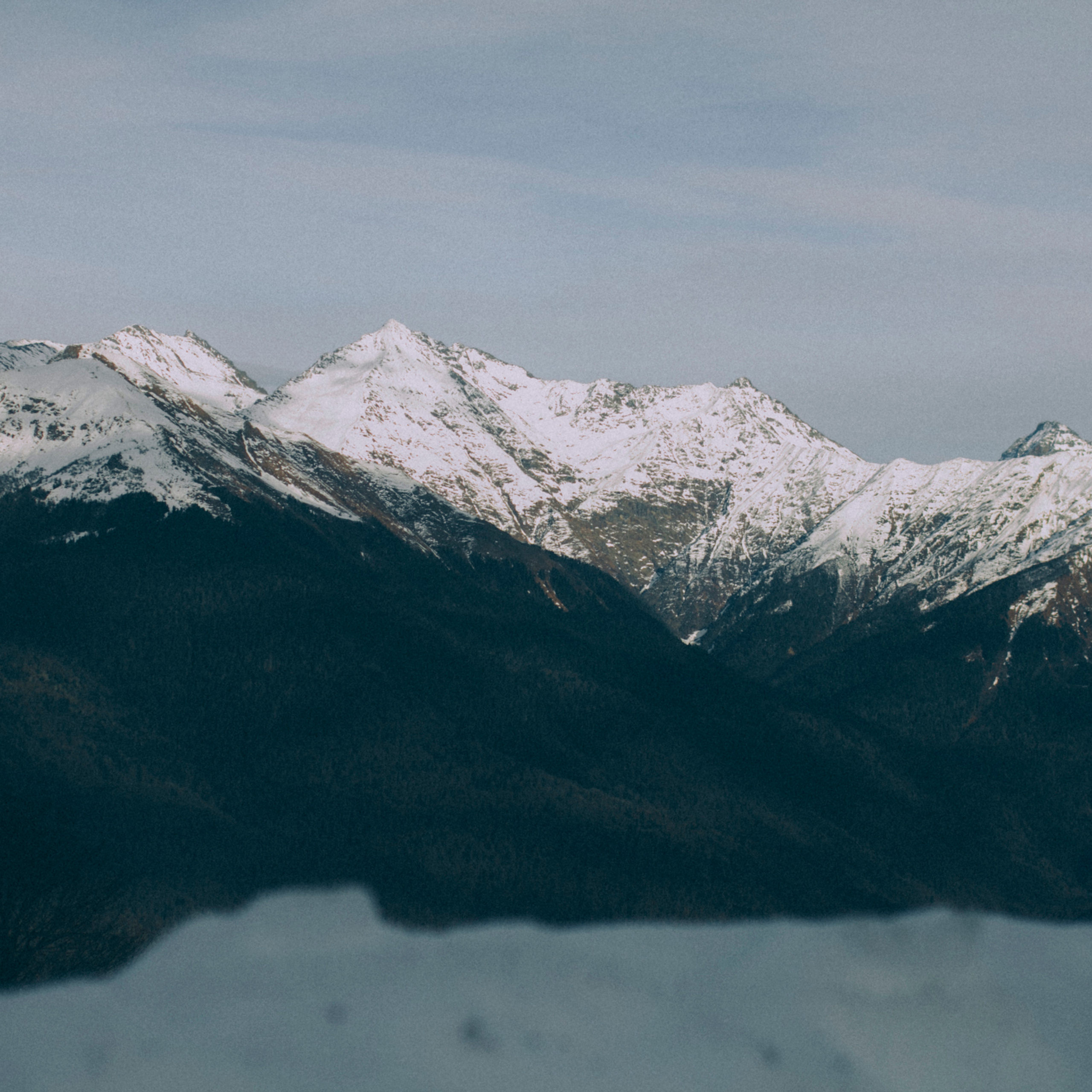 Сочи (декабрь 2017)