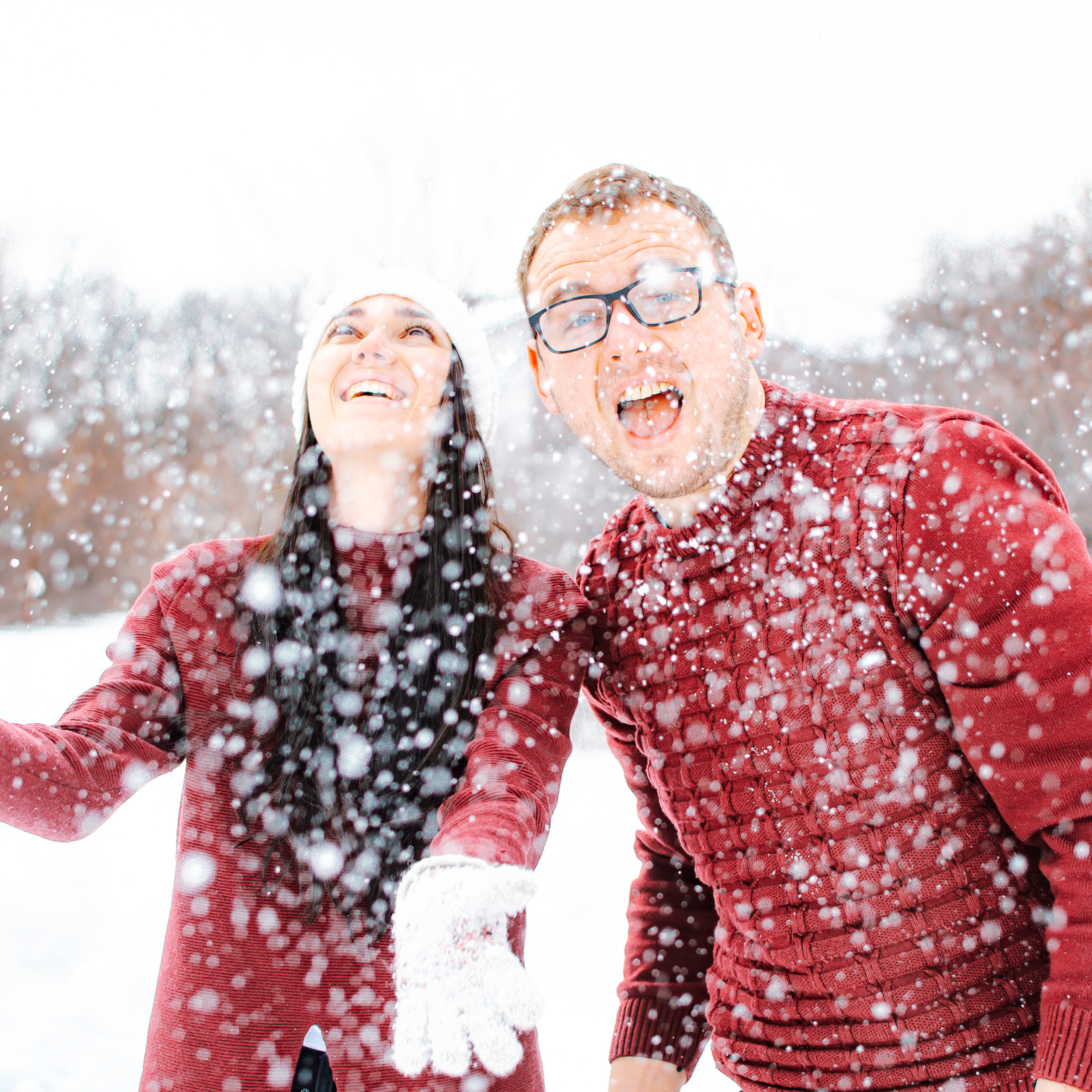 Синяя птица (февраль 2020)