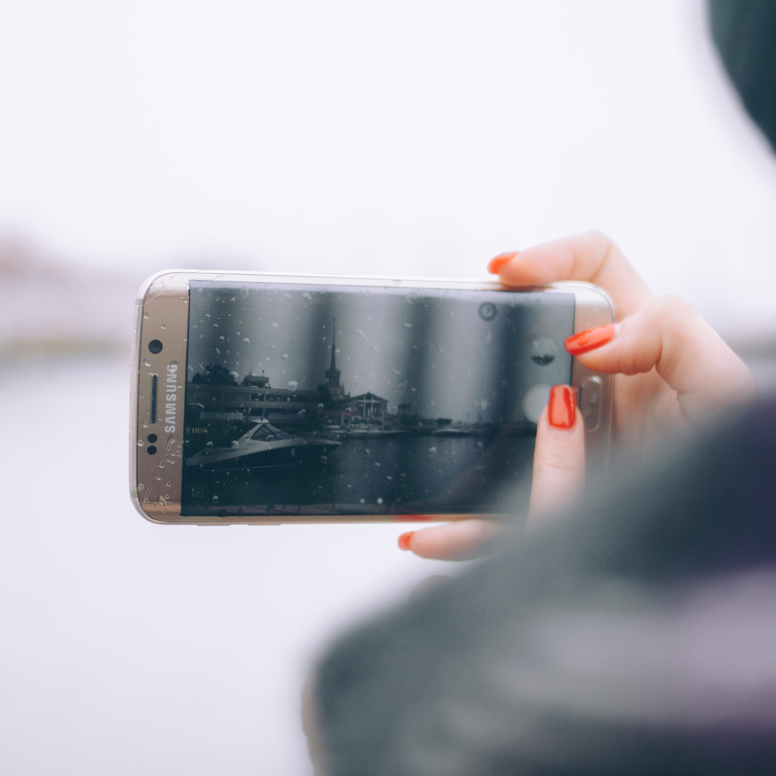 Сочи (декабрь 2017)